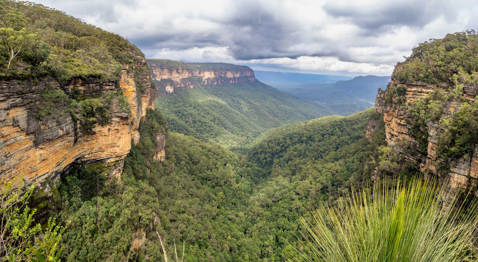 A breathtaking panoramic view of the Blue Mountains National Park in Australia, featuring dramatic sandstone cliffs framing a verdant forested valley with distant plateaus under a cloudy sky. Lush vegetation clings to the towering cliff faces while native plants frame the foreground.