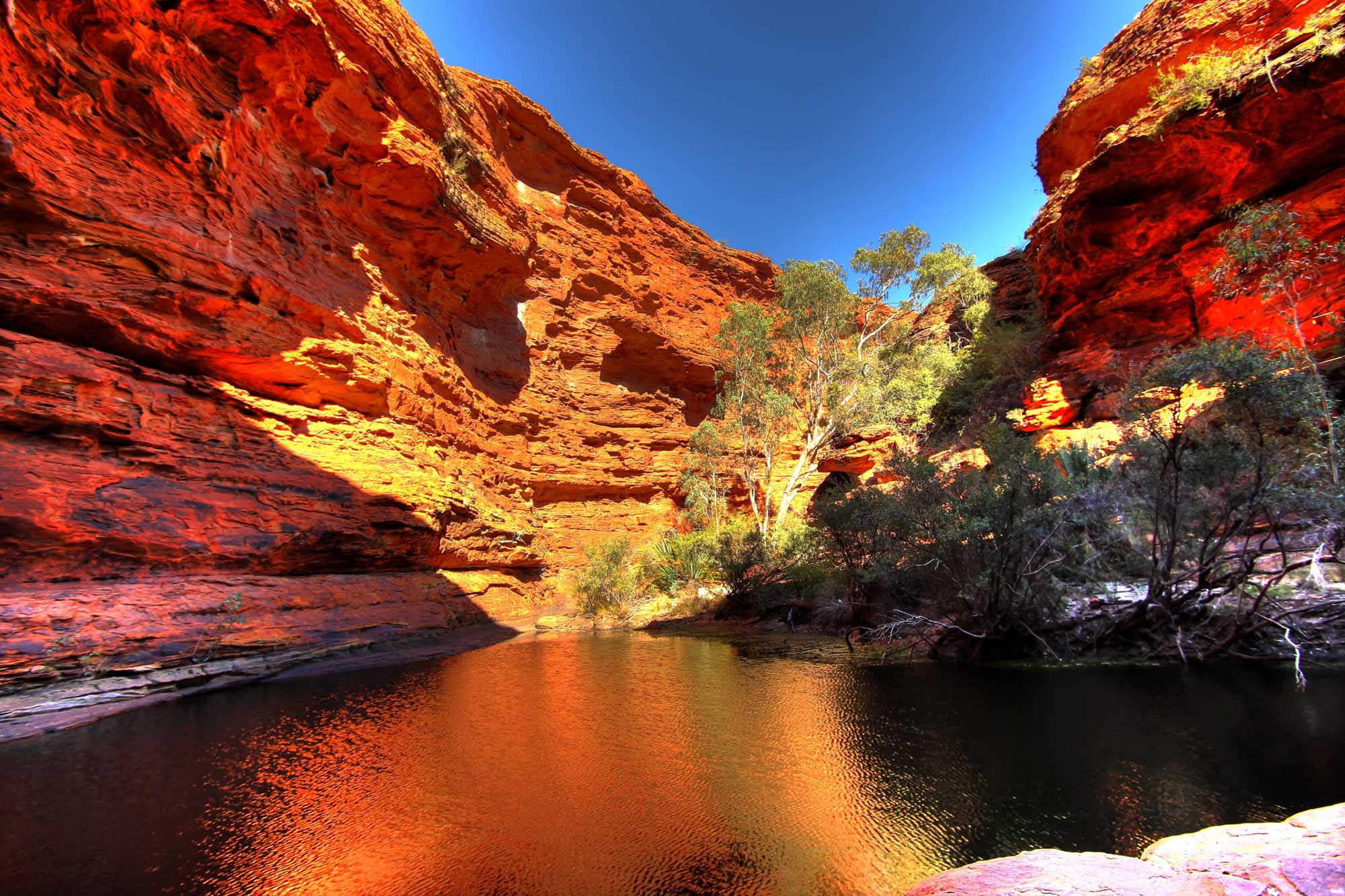A stunning natural pool nestled within Kings Canyon features towering red sandstone cliffs reflecting brilliant golden sunlight, with native eucalyptus trees framing the serene waterscape. This iconic Australian outback destination showcases the dramatic geology and vibrant colors characteristic of the Northern Territory's remote gorges.