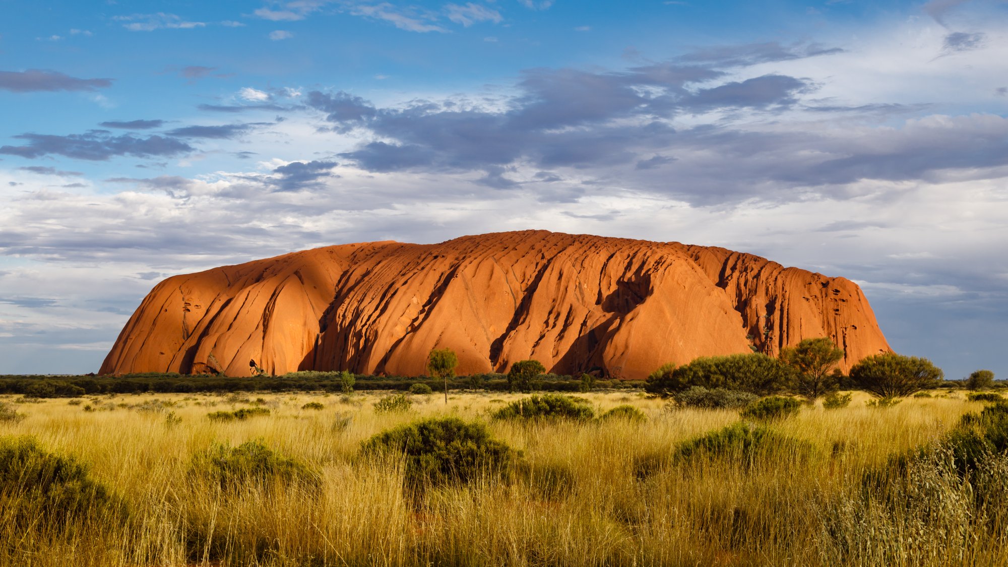 A striking view of Uluru (Ayers Rock), the iconic red sandstone monolith rising dramatically from the golden grasslands of Australia's Northern Territory. The massive rock formation displays deep vertical striations and is photographed during late afternoon light, with scattered clouds creating a dynamic sky above the sparse desert vegetation.