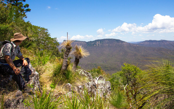 A hiker wearing a brown hat and backpack stands on a rocky outcrop surrounded by native vegetation, gazing out toward a dramatic mountain range. The landscape features distinctive plateau-like mountain formations under a partly cloudy sky, characteristic of a tropical highland environment.