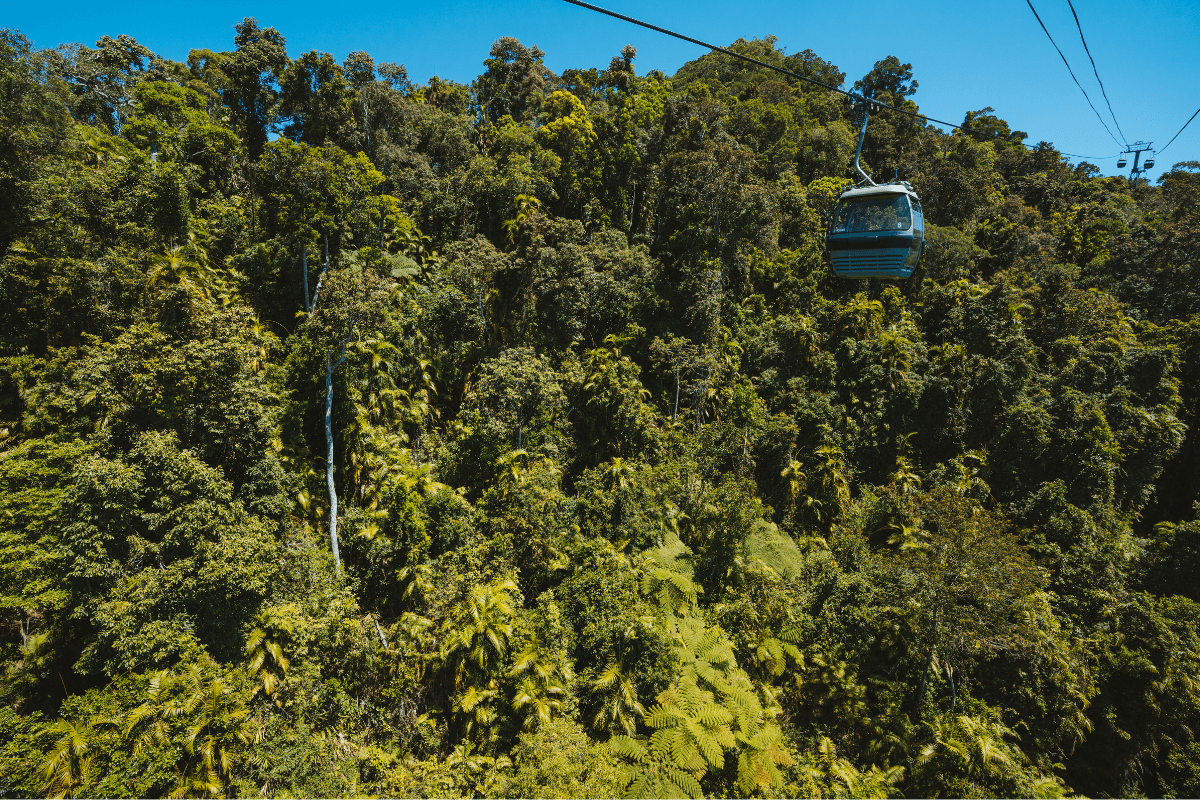 A blue cable car gondola suspended above a lush, dense rainforest canopy, offering an aerial perspective of the tropical forest below. The vibrant green vegetation and clear sky create a striking contrast showcasing the natural beauty of the rainforest landscape.