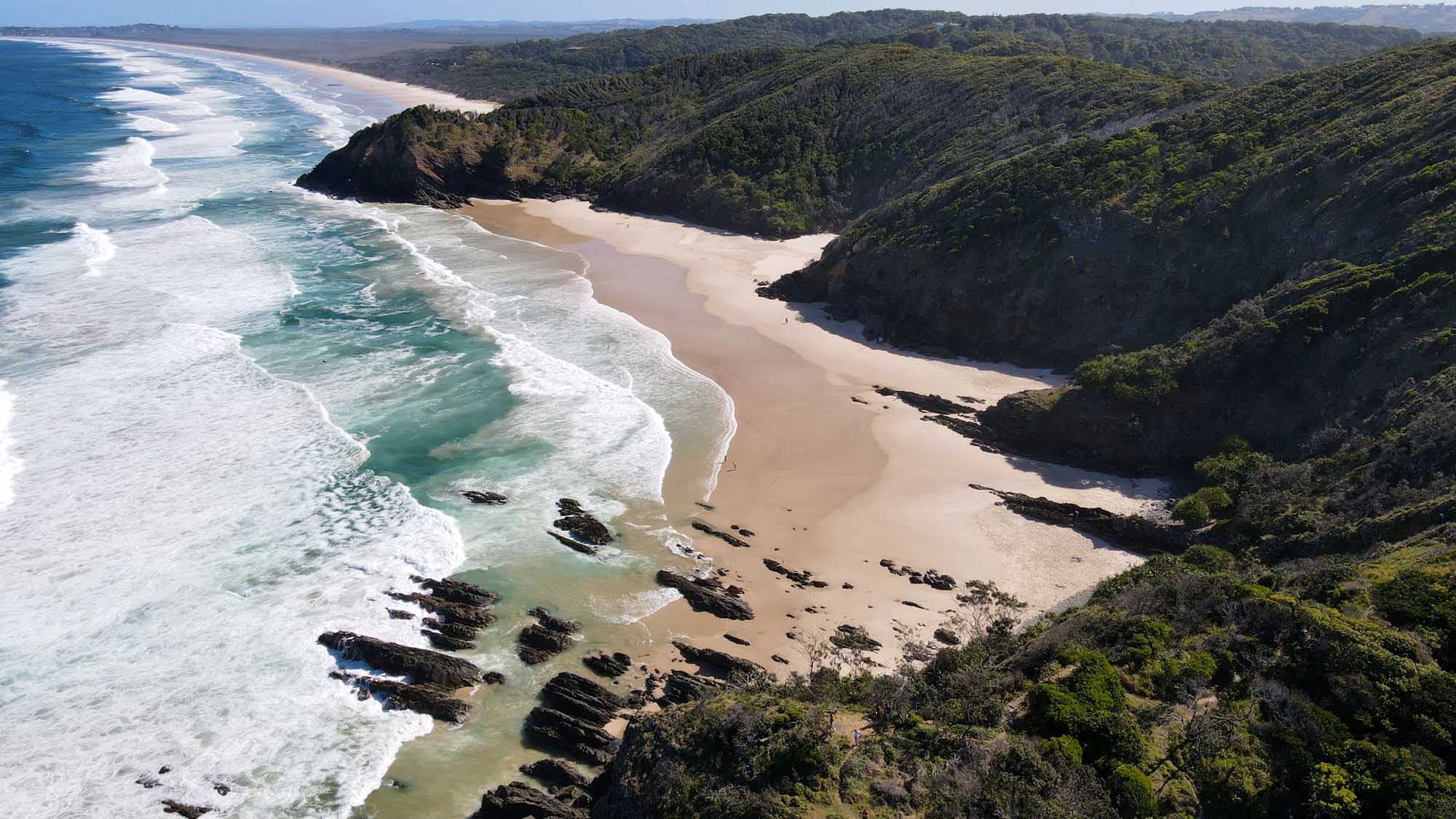 A stunning tropical beach scene featuring white sand, crystal-clear turquoise waters, and two iconic white-barked eucalyptus trees standing in the shallow water. Dense rainforest vegetation lines the shoreline, creating a pristine and secluded paradise destination.