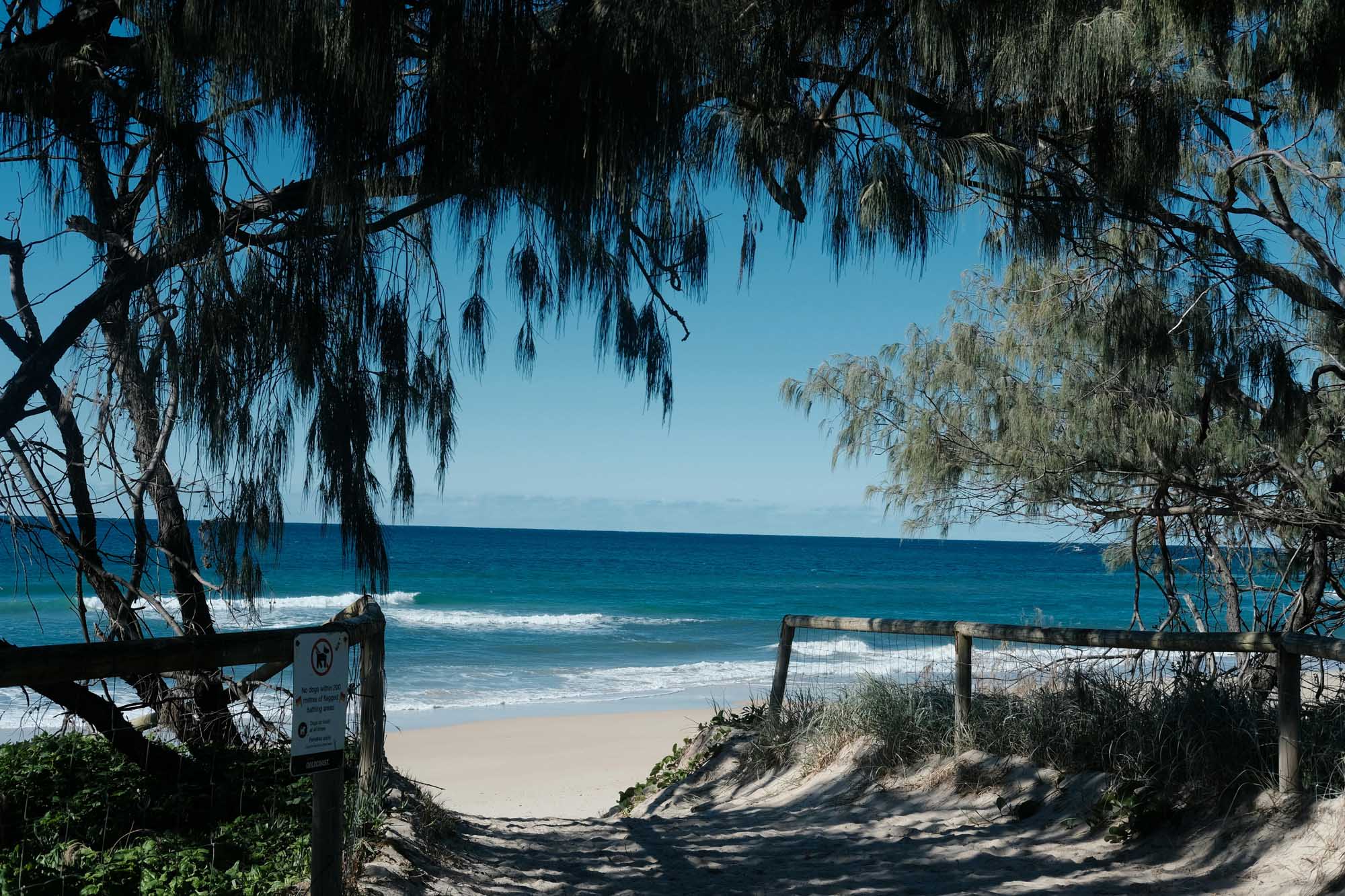 A picturesque beach entrance framed by graceful weeping willow trees with cascading branches, leading to pristine sandy shores and turquoise ocean waters. A wooden fence and informational signage mark the designated beach access point, with rolling waves visible under clear blue skies.