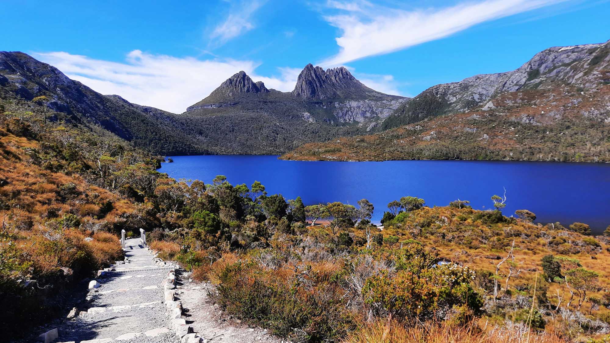 A stunning alpine landscape featuring the distinctive peaks of Cradle Mountain rising above the pristine deep-blue waters of Dove Lake, surrounded by native eucalyptus forest and alpine vegetation. A walking trail leads through the moorland toward the iconic mountain formations under a clear blue sky.