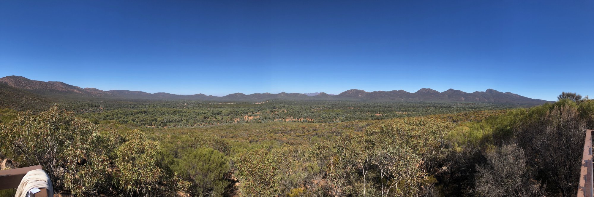 Flinders Ranges Mountain Vista Panorama A sweeping panoramic landscape view of the Flinders Ranges in South Australia, featuring rolling green vegetation, scattered eucalyptus trees, and distant mountain ridges under clear blue skies. The view captures the semi-arid natural beauty typical of this UNESCO World Biosphere Reserve region.