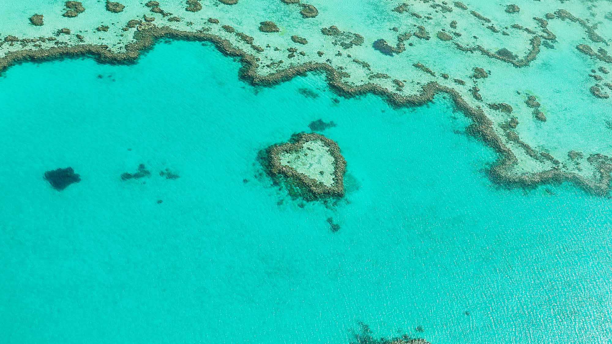 An aerial photograph of Heart Reef, a natural coral formation in the Great Barrier Reef, Queensland, Australia. The distinctive heart-shaped coral structure is surrounded by vibrant turquoise waters and scattered coral bommies, showcasing the stunning natural beauty of this iconic marine destination.