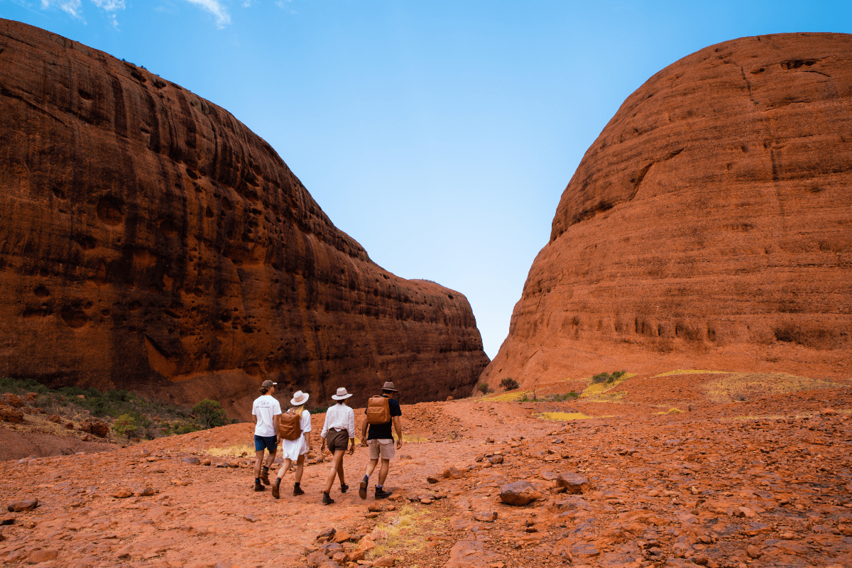 Uluru rising above desert oaks and spinifex in the Northern Territory Red Centre