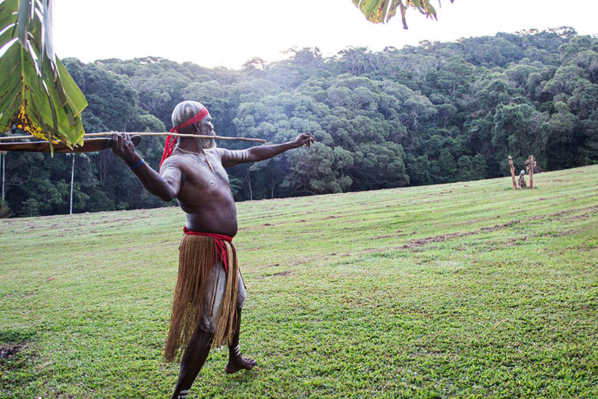 Indigenous Man Performing Traditional Spear Throw A member of an indigenous Australian community performs a traditional cultural demonstration in