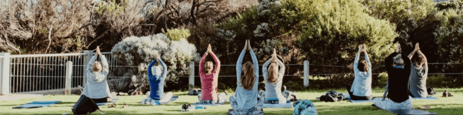 A group of participants practicing yoga in a sunny outdoor park setting, performing standing poses with arms raised in synchronization. The class takes place on yoga mats spread across a grassy lawn with trees and fencing visible in the background.