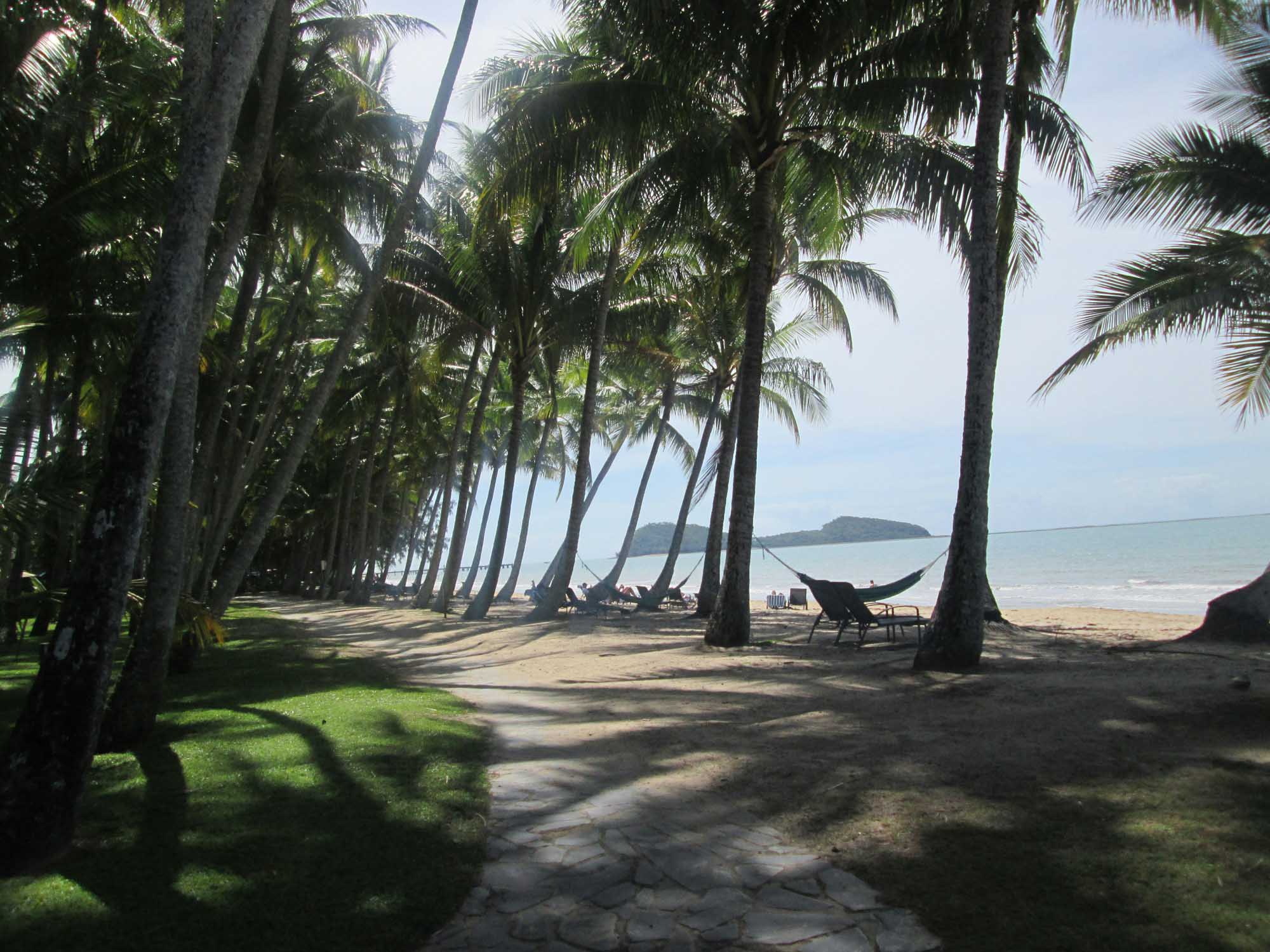 A serene tropical beach scene featuring a tree-lined promenade of towering palm trees creating natural shade pathways along the sandy shore. The calm turquoise waters and distant forested island create a peaceful, idyllic tropical vacation setting with hammocks and loungers nestled beneath the palms.