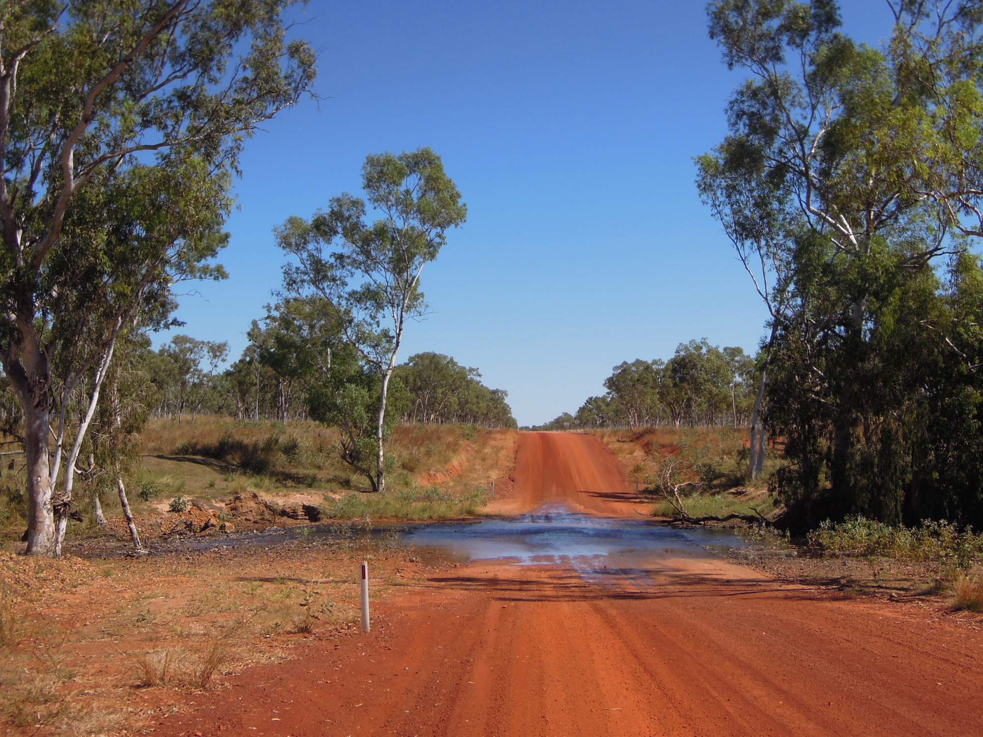 A scenic view of the remote Gibb River Road in Western Australia's Kimberley region, featuring a distinctive red dirt road with a water crossing and native eucalyptus trees lining both sides under a clear blue sky.