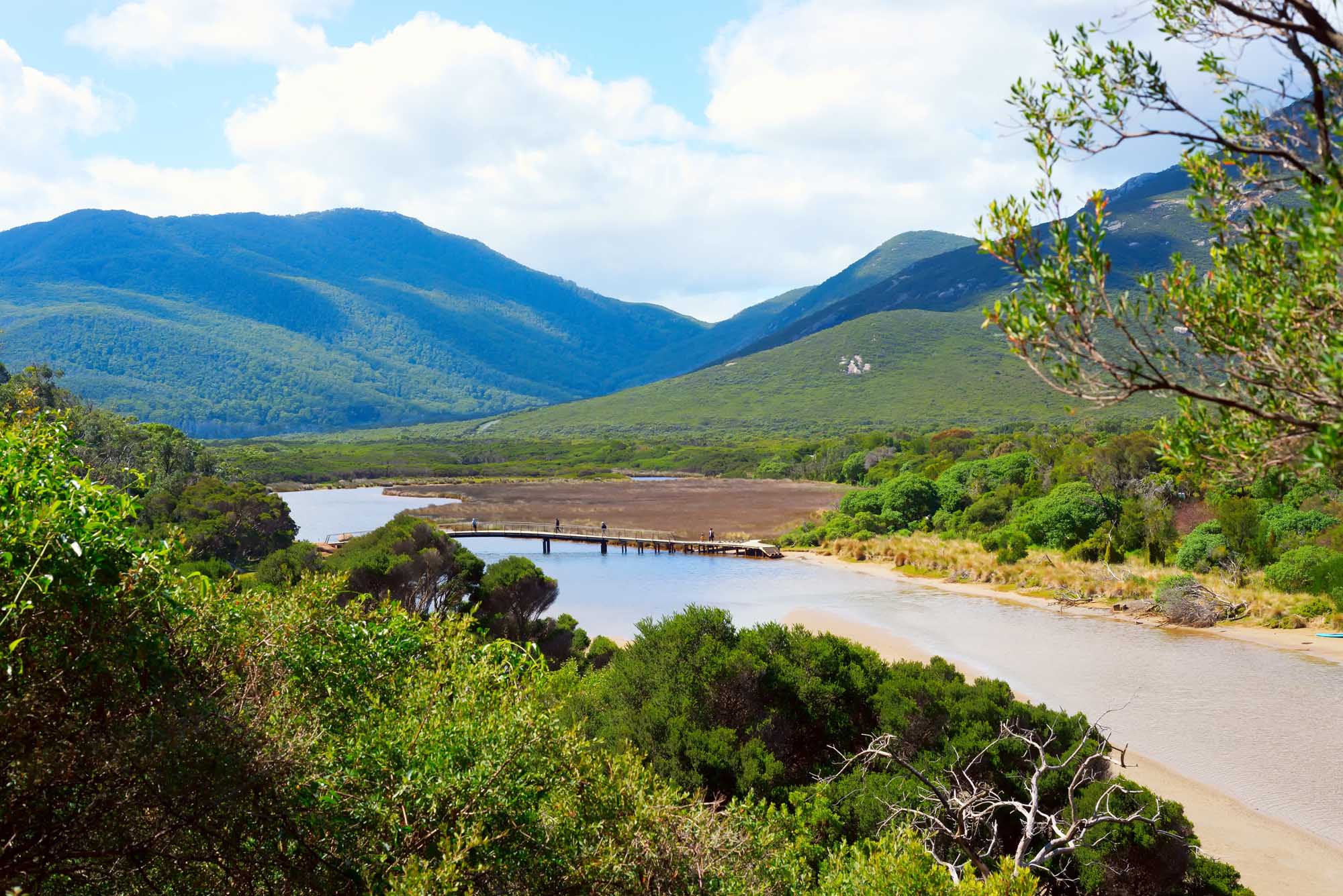 A scenic landscape of a tidal river winding through lush green valleys with forested mountains in the background, taken at Wilsons Promontory National Park in Victoria, Australia. The tranquil waters reflect the verdant surroundings under a partly cloudy sky.