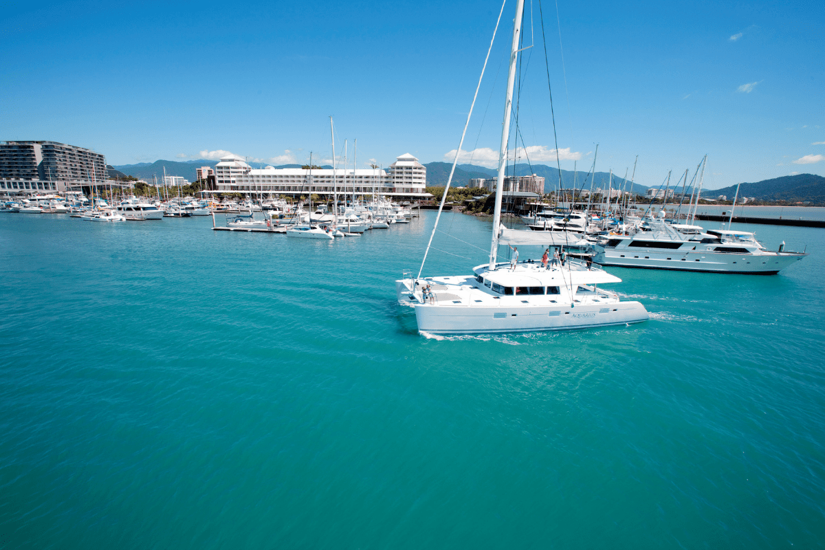 A picturesque tropical marina featuring multiple white sailboats anchored in crystal-clear turquoise waters, with a vibrant coastal town, high-rise buildings, and tree-covered mountains in the background under clear blue skies.