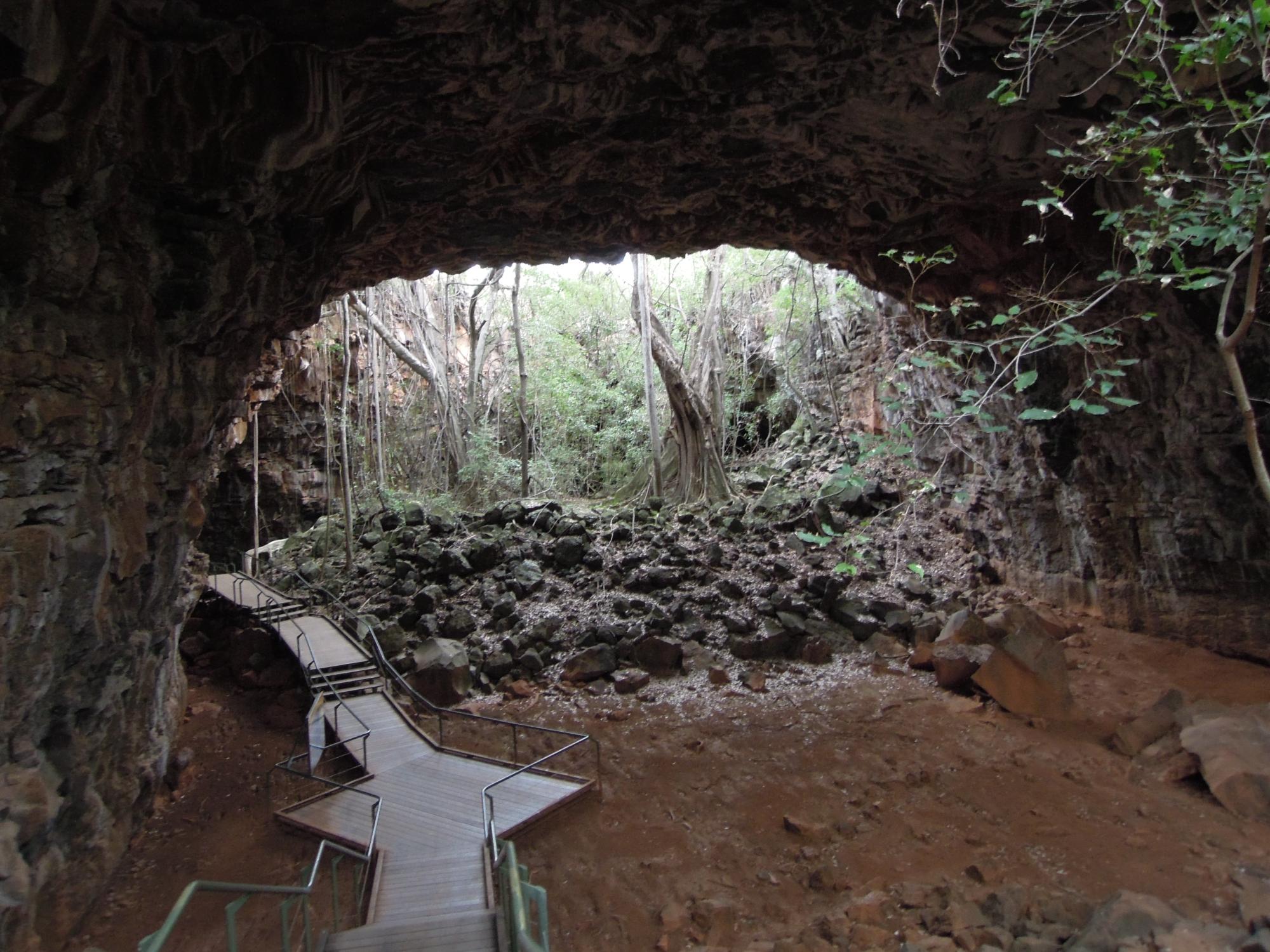 A wooden boardwalk leads through a massive volcanic cave formed by ancient lava tubes, with lush rainforest vegetation visible at the cave entrance and scattered volcanic rocks throughout the cavern floor.