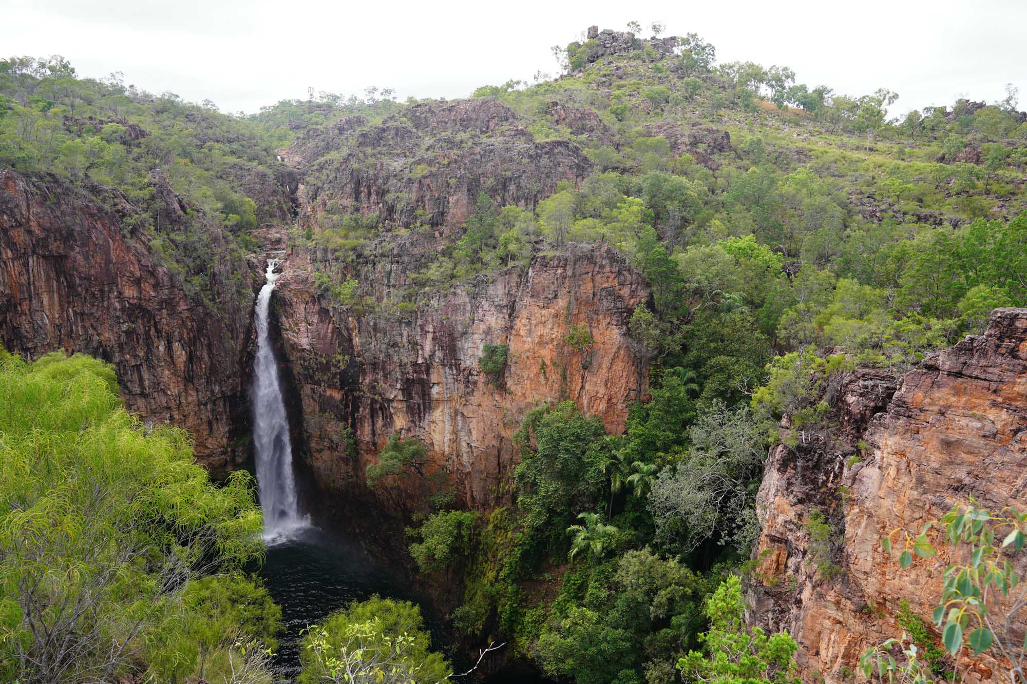 A dramatic waterfall cascades down towering red sandstone cliffs surrounded by lush green vegetation and monsoon rainforest in Litchfield National Park, Northern Territory, Australia. The scenic gorge landscape showcases the region's distinctive geological formations and tropical biodiversity.
