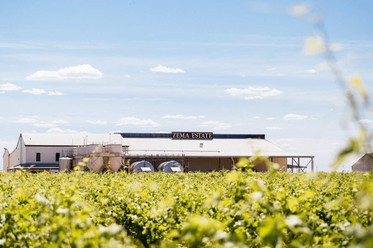 A sprawling winery facility with the 'ZEMA ESTATE' signage visible on the main building, situated amid lush green vineyard rows under a partly cloudy sky. Industrial storage tanks and processing infrastructure are visible alongside residential and administrative buildings.