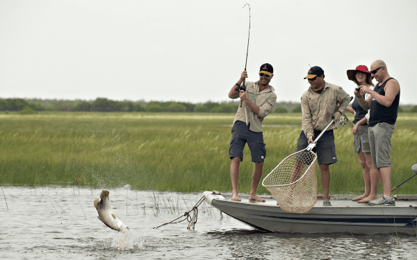 A group of anglers on a small boat in a grassy wetland reeling in and netting a fish