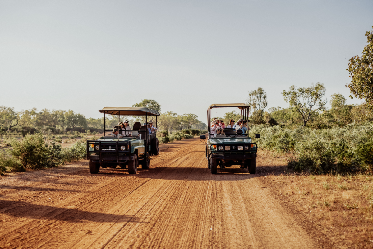 Two open-air safari vehicles with canopy roofs travel along a red dirt road through an African savanna landscape, carrying tourists on a guided wildlife viewing expedition. The vehicles are positioned facing each other on the expansive dusty terrain with scattered acacia trees and sparse vegetation typical of savanna ecosystems.