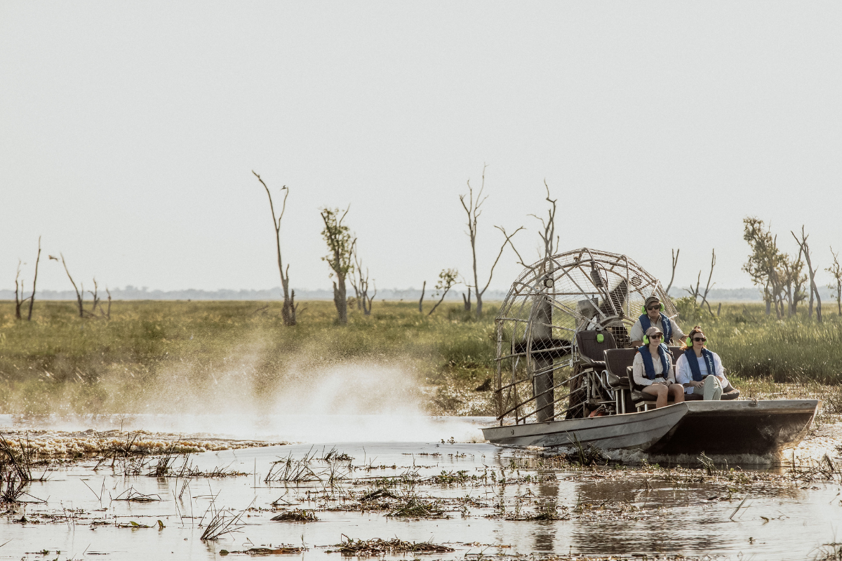 Tourists aboard an airboat with a large fan propeller navigate through shallow marshland waters