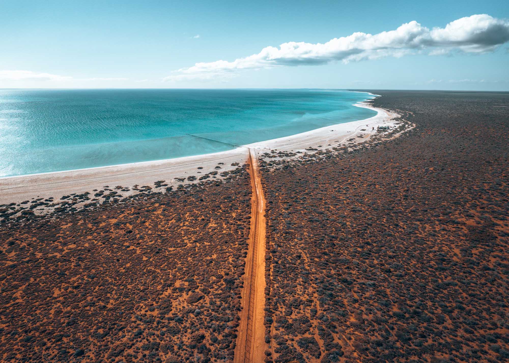 An aerial perspective of Shark Bay's iconic turquoise waters and pristine white sand beaches