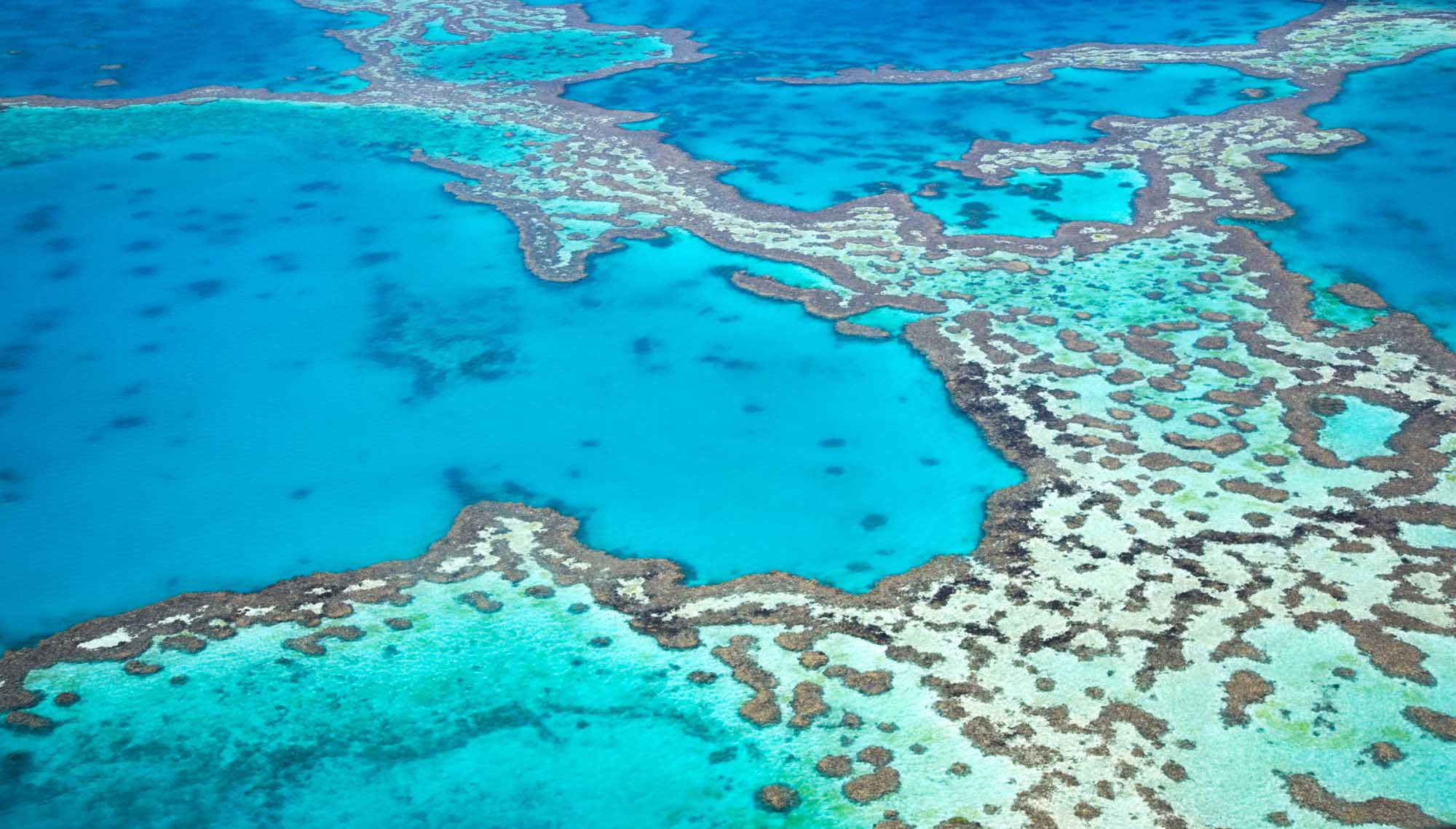 An stunning aerial photograph showcasing the vibrant turquoise waters and intricate coral formations of the Great Barrier Reef, with distinctive deep blue channels separating lighter-colored coral gardens and sandy patches visible from above.