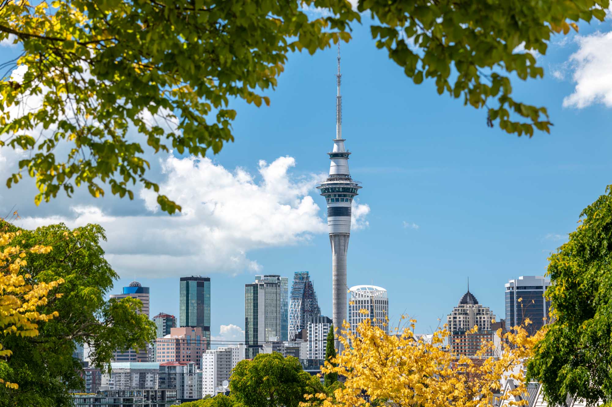 A stunning cityscape of Auckland's central business district dominated by the iconic Sky Tower