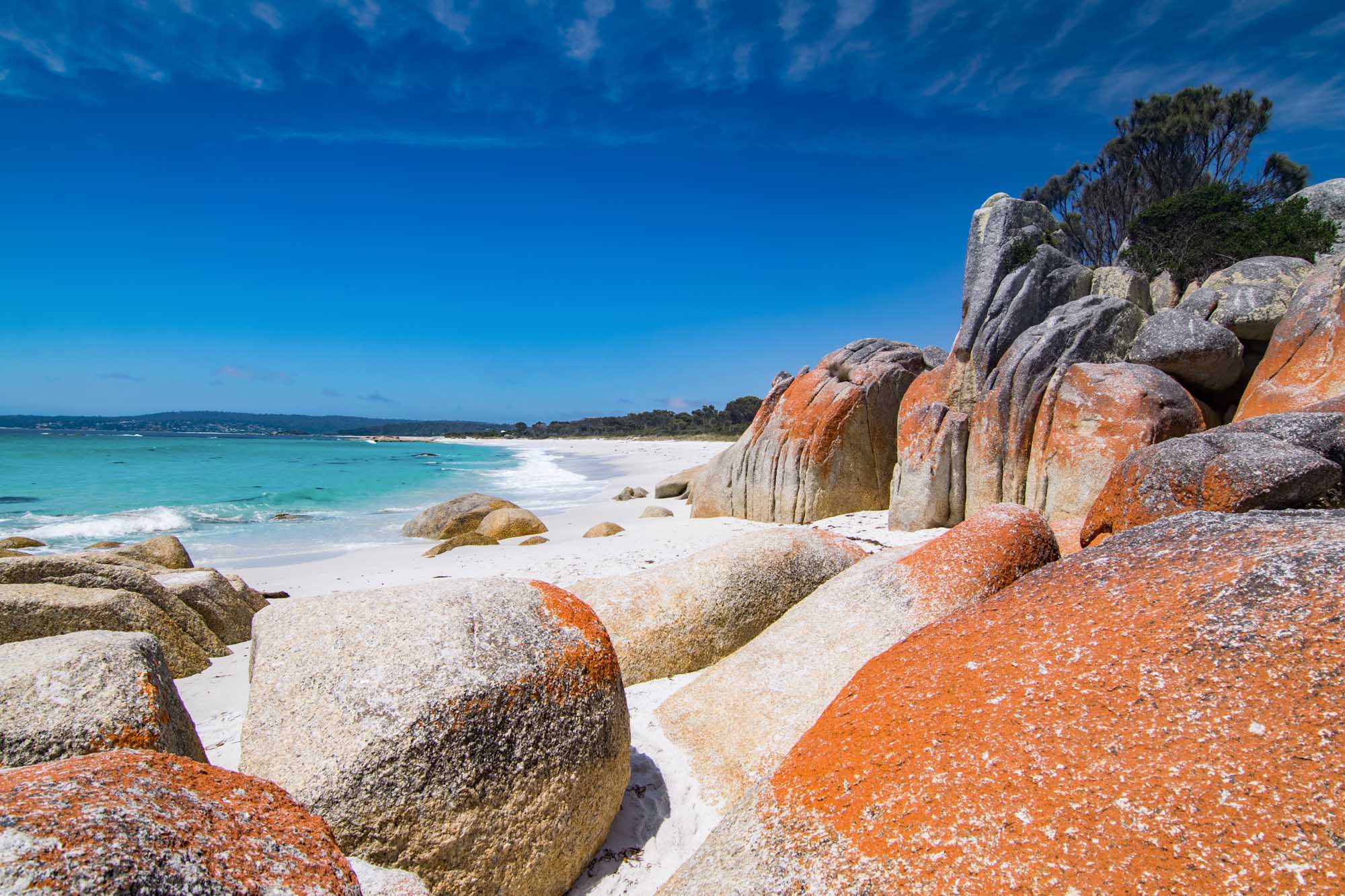 A stunning coastal scene featuring the Bay of Fires in northeastern Tasmania, characterized by distinctive orange-hued granite boulders covered in lichen, pristine white sand beach, and turquoise waters under a clear blue sky.
