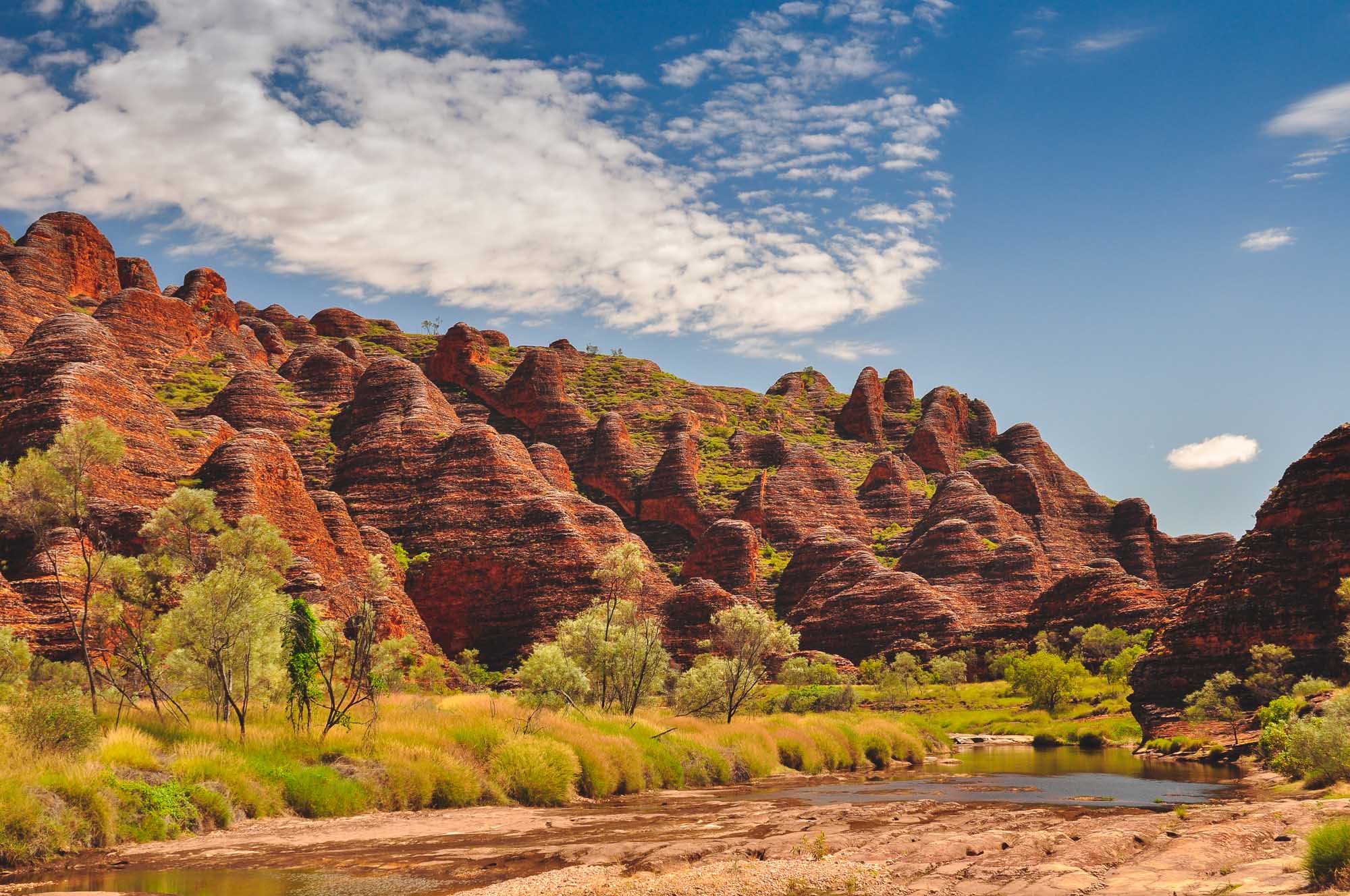 A stunning landscape of distinctive beehive-shaped rock formations at Bungle Bungles National Park in Western Australia. The iconic striped domes of orange and red sandstone rise dramatically from a river valley dotted with spinifex grass and native vegetation, under a bright blue sky with wispy clouds.