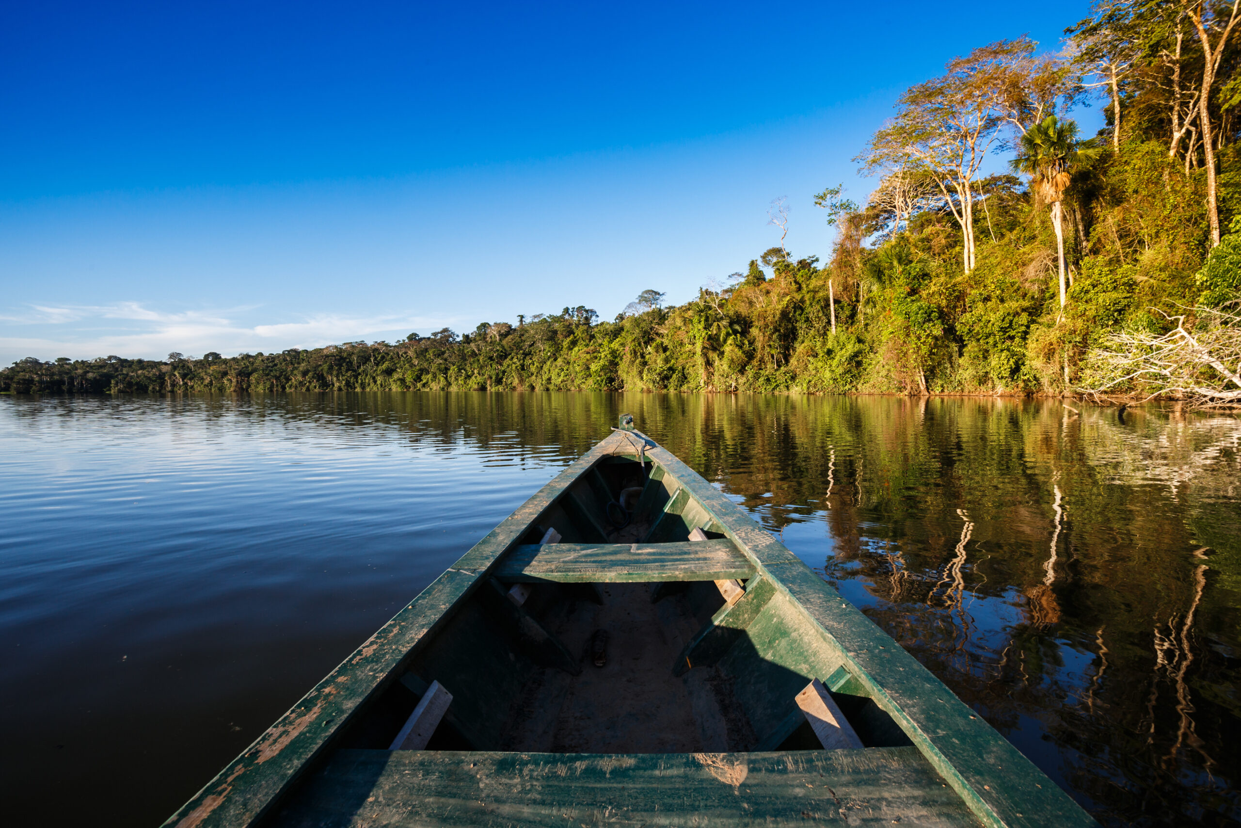 A weathered wooden canoe navigates calm waters through a lush Amazon rainforest landscape, with dense tropical vegetation and tall trees reflected in the still water under clear blue skies. This image captures the serene beauty of river exploration in the Amazon basin.