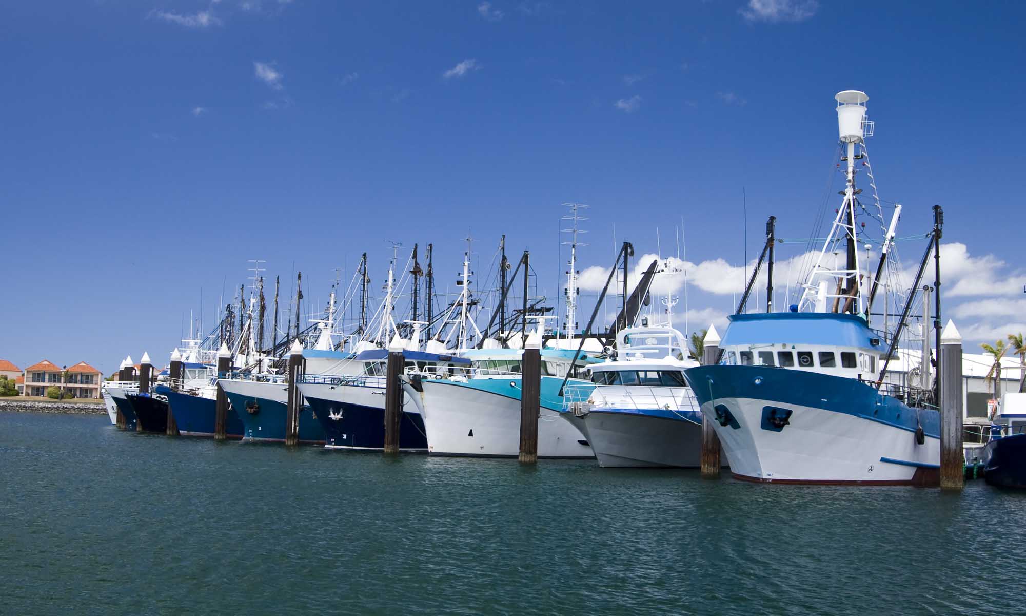 A fleet of commercial fishing vessels and prawn boats lined up at the docks of Port Lincoln in South Australia, featuring white and blue hulls with tall masts and rigging against a clear blue sky and turquoise waters.
