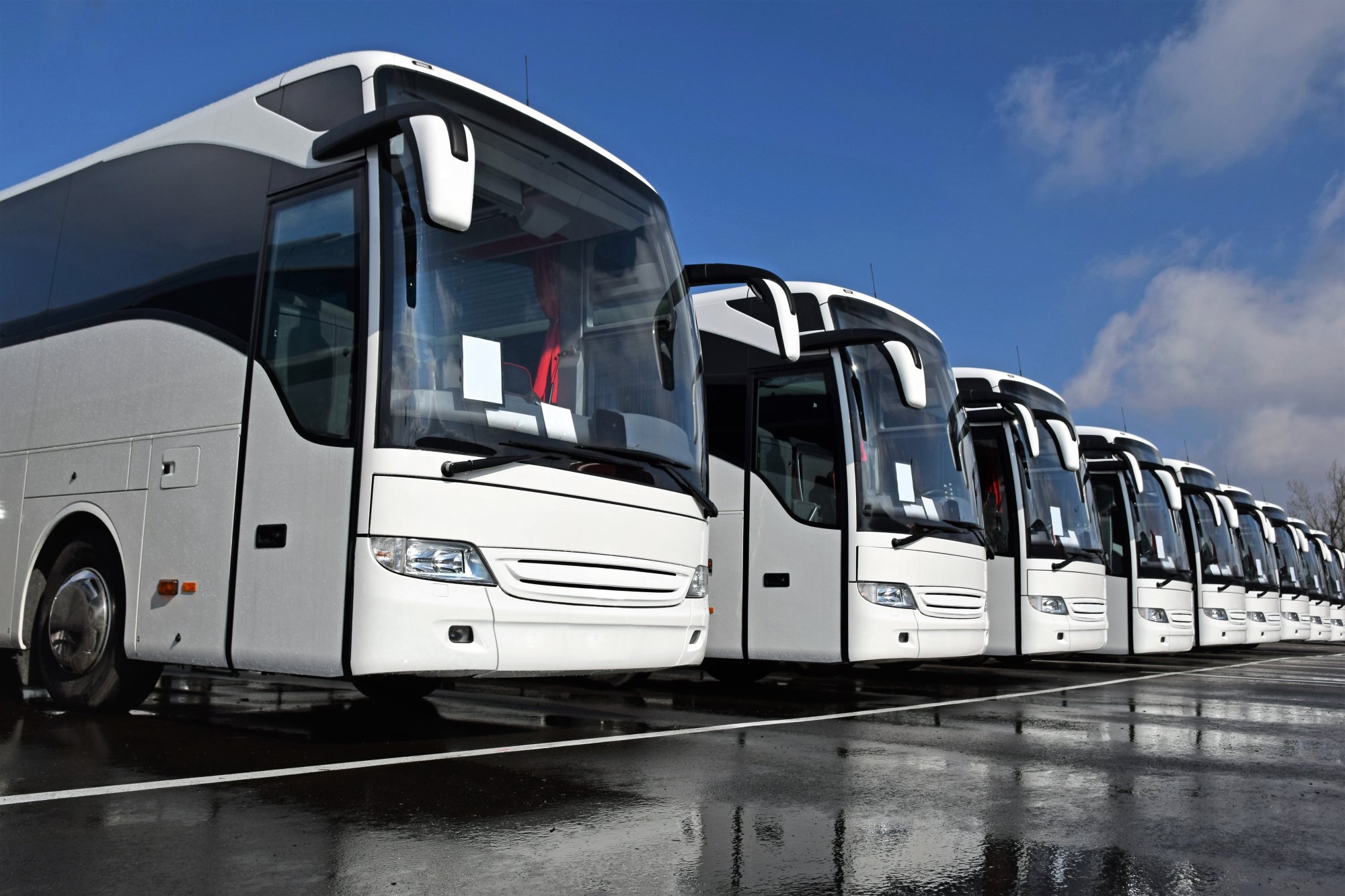 Fleet of White Coach Buses Lined Up A row of identical white and black coach buses parked in formation on a wet asphalt surface, shot