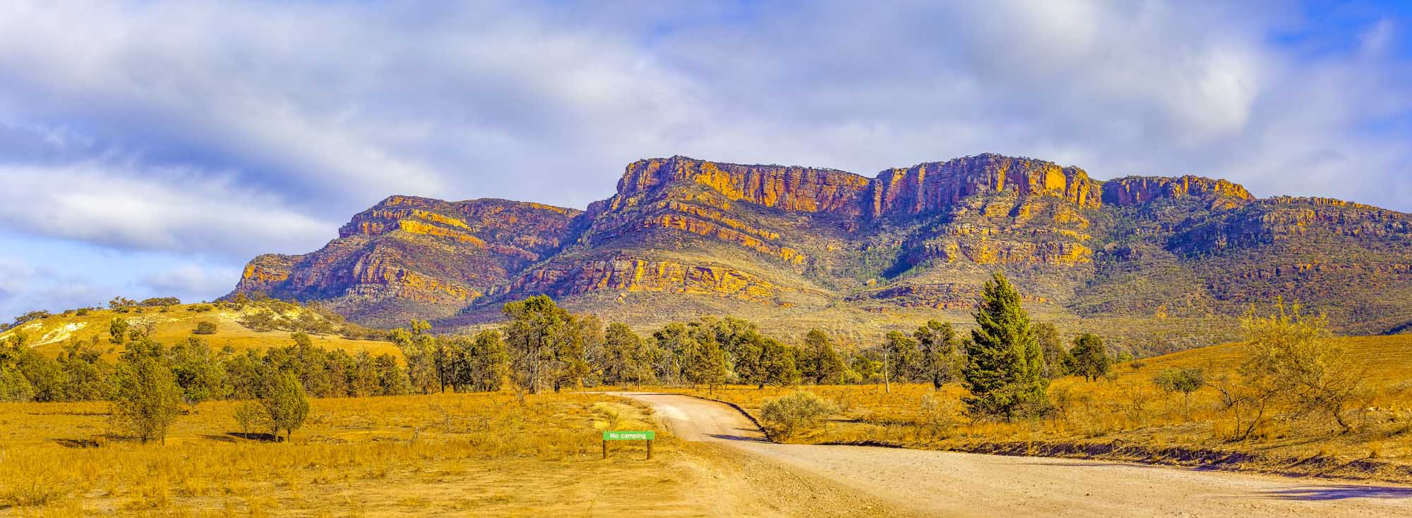 A panoramic landscape view of the dramatic Flinders Ranges mountains in Ikara-Flinders National Park, South Australia, featuring distinctive layered cliff formations with golden and purple hues, scattered native trees across golden grassland, and a winding dirt road in the foreground.