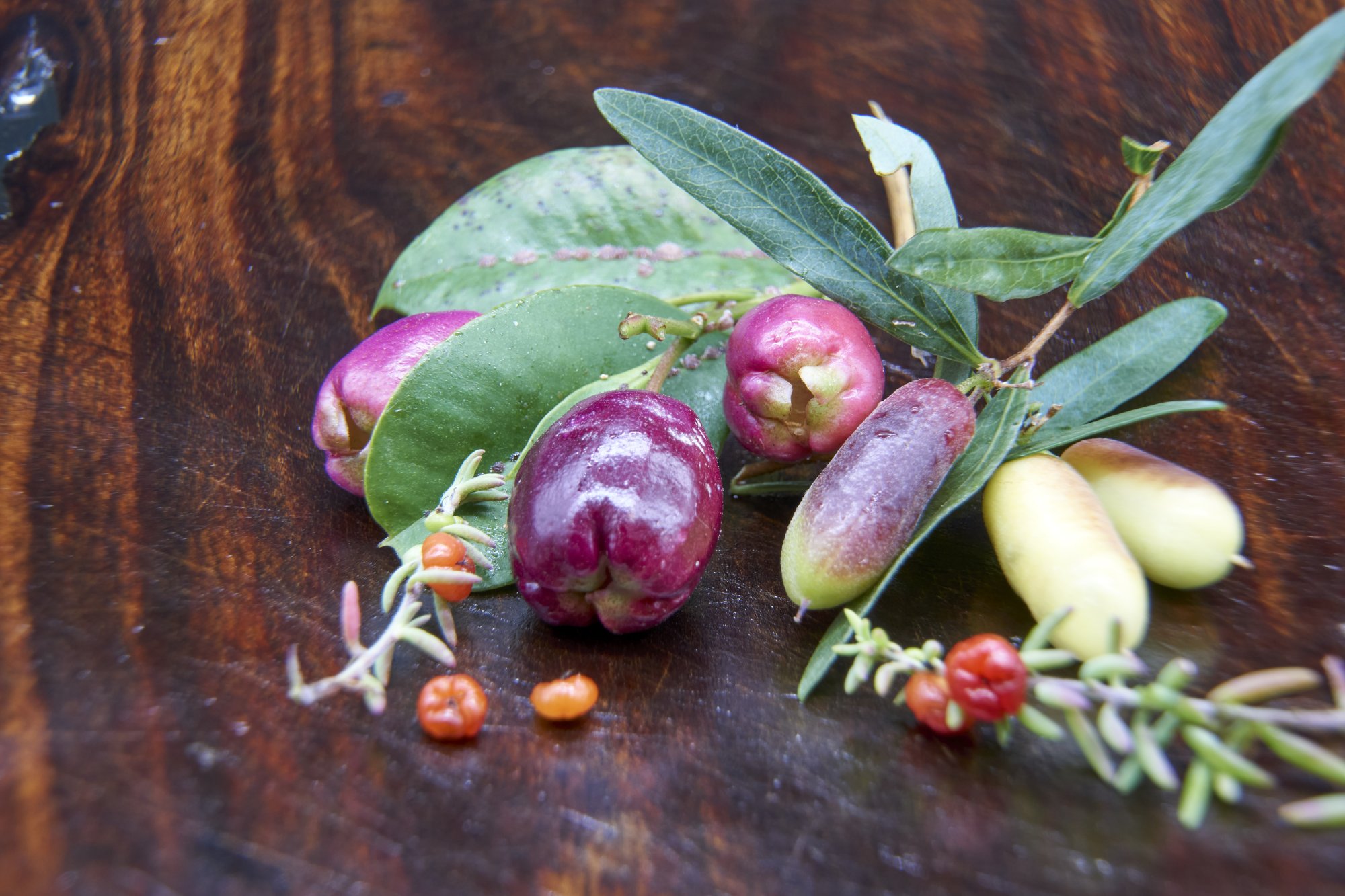 A close-up arrangement of fresh myrtle berries in various stages of ripeness, displaying vibrant