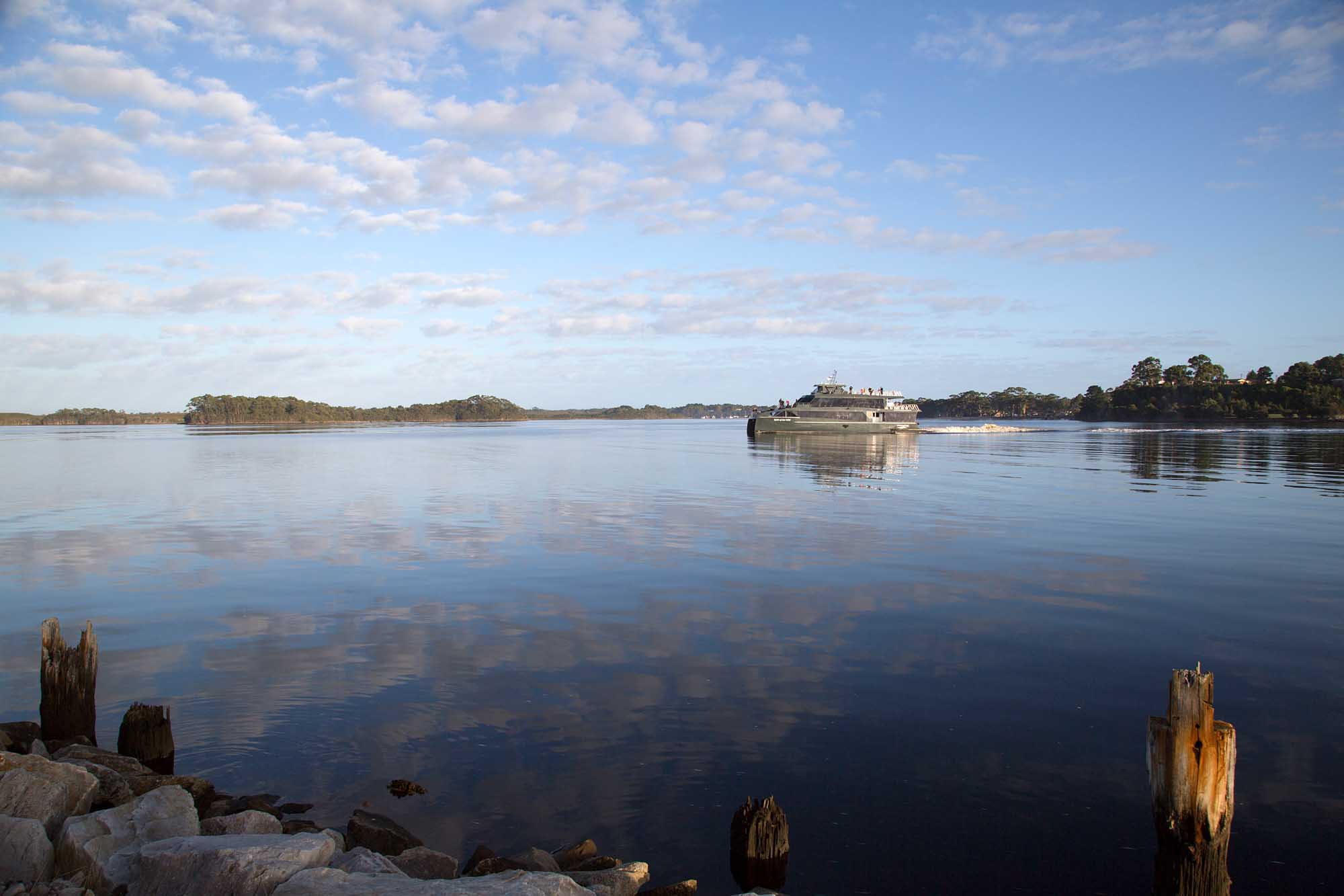 A cruise vessel navigates the calm waters of Macquarie Harbour near Strahan, Tasmania, with forested shorelines and wooden pilings visible in the foreground. The serene morning conditions reflect the pristine wilderness of Franklin Gordon Wild Rivers National Park.