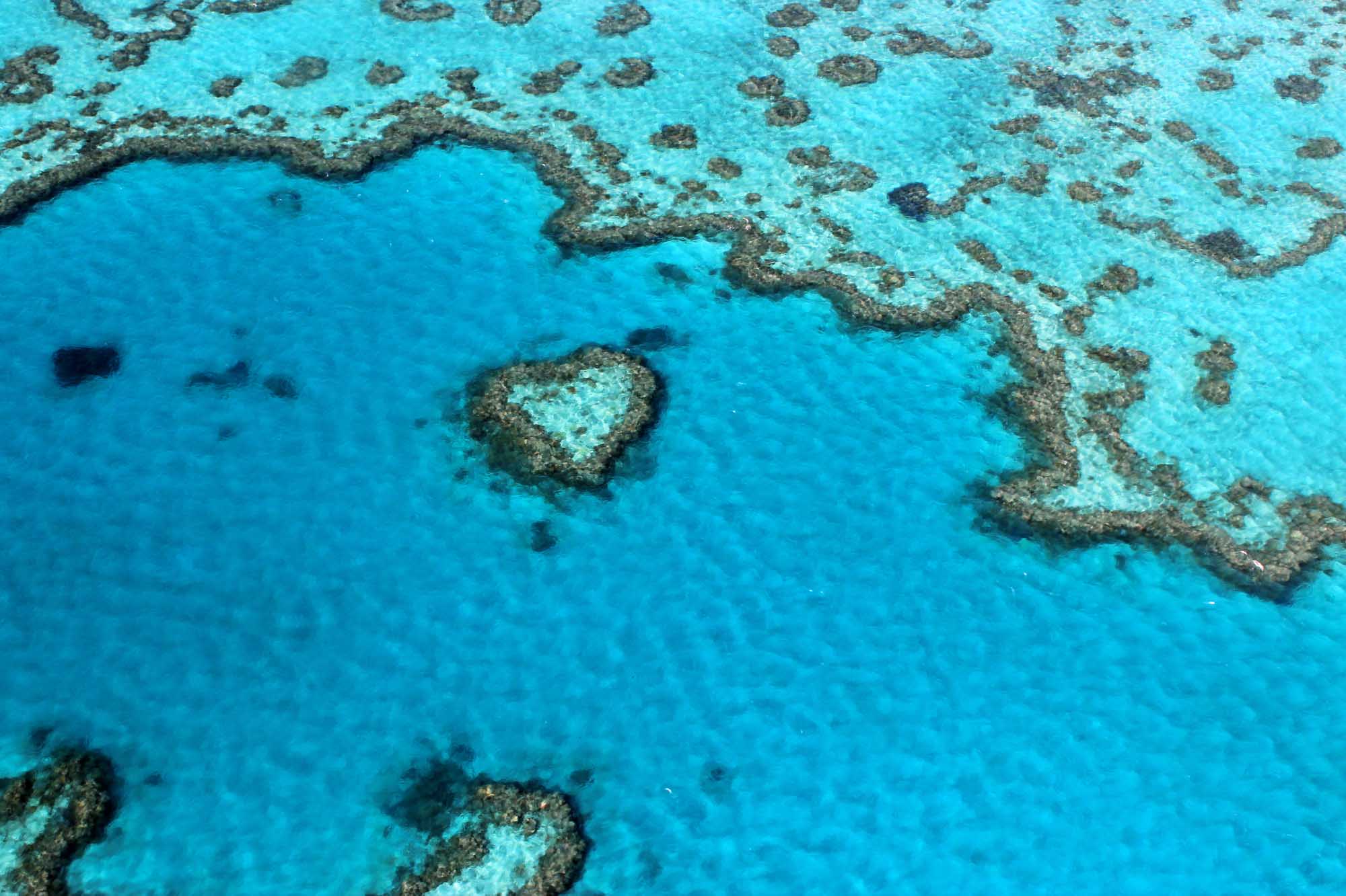 An aerial photograph of the iconic Heart Reef formation within the Great Barrier Reef, showcasing the distinctive heart-shaped coral structure surrounded by vibrant turquoise waters and scattered coral bommies. The image captures the stunning contrast between the deep blue deeper waters and the lighter turquoise shallows, with the coral reef's intricate patterns clearly visible from above.