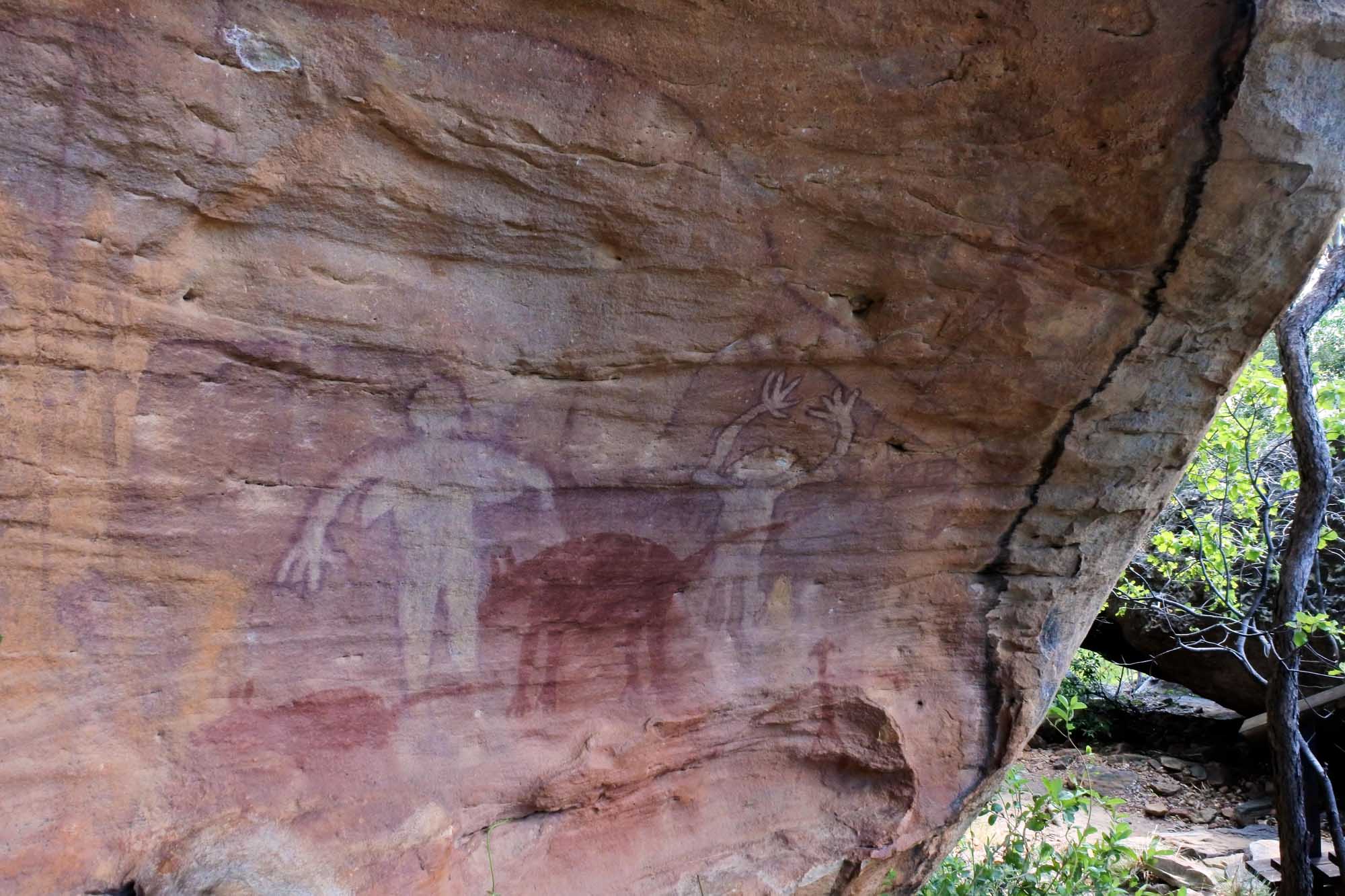 Ancient Indigenous Australian rock art paintings depicted on the rock shelter ceiling at Split Rock in Cape York Peninsula, Queensland. The faded ochre figures showcase traditional First Nations artistic heritage and cultural significance in this historic Aboriginal site.