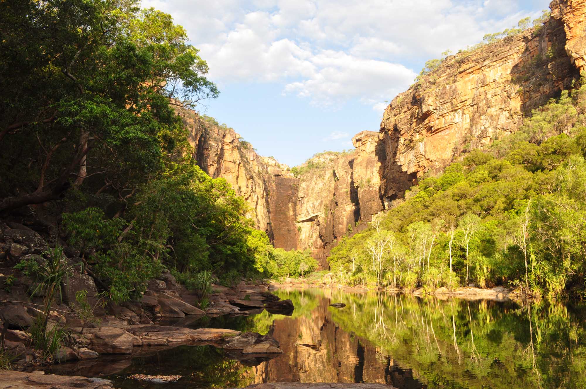 A stunning gorge landscape in Kakadu National Park featuring towering sandstone cliffs reflected in a calm river, framed by lush native vegetation and eucalyptus trees under a bright Australian sky.
