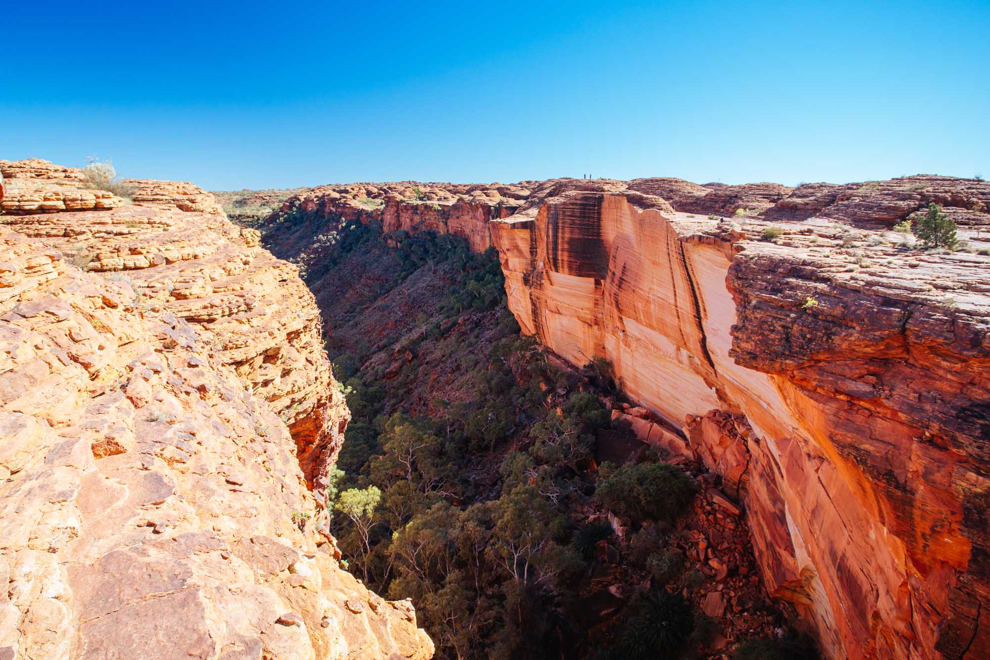 A dramatic aerial view of Kings Canyon in Australia's Northern Territory, showcasing towering red sandstone cliffs and layered geological formations with sparse desert vegetation in the valley below. The vivid rust-colored rock walls and creamy tan upper strata create a striking contrast under a clear blue sky.