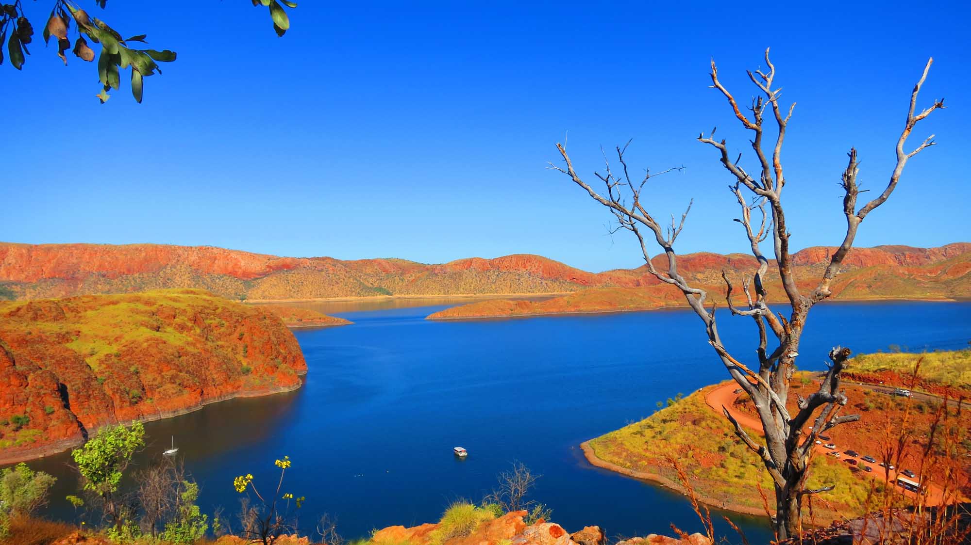 A stunning panoramic view of Lake Argyle near Kununurra in Western Australia, featuring brilliant blue waters contrasted against striking red rocky cliffs and arid landscape with sparse vegetation. The reservoir is framed by distinctive bare trees and red earth terrain characteristic of Australia's Kimberley region.
