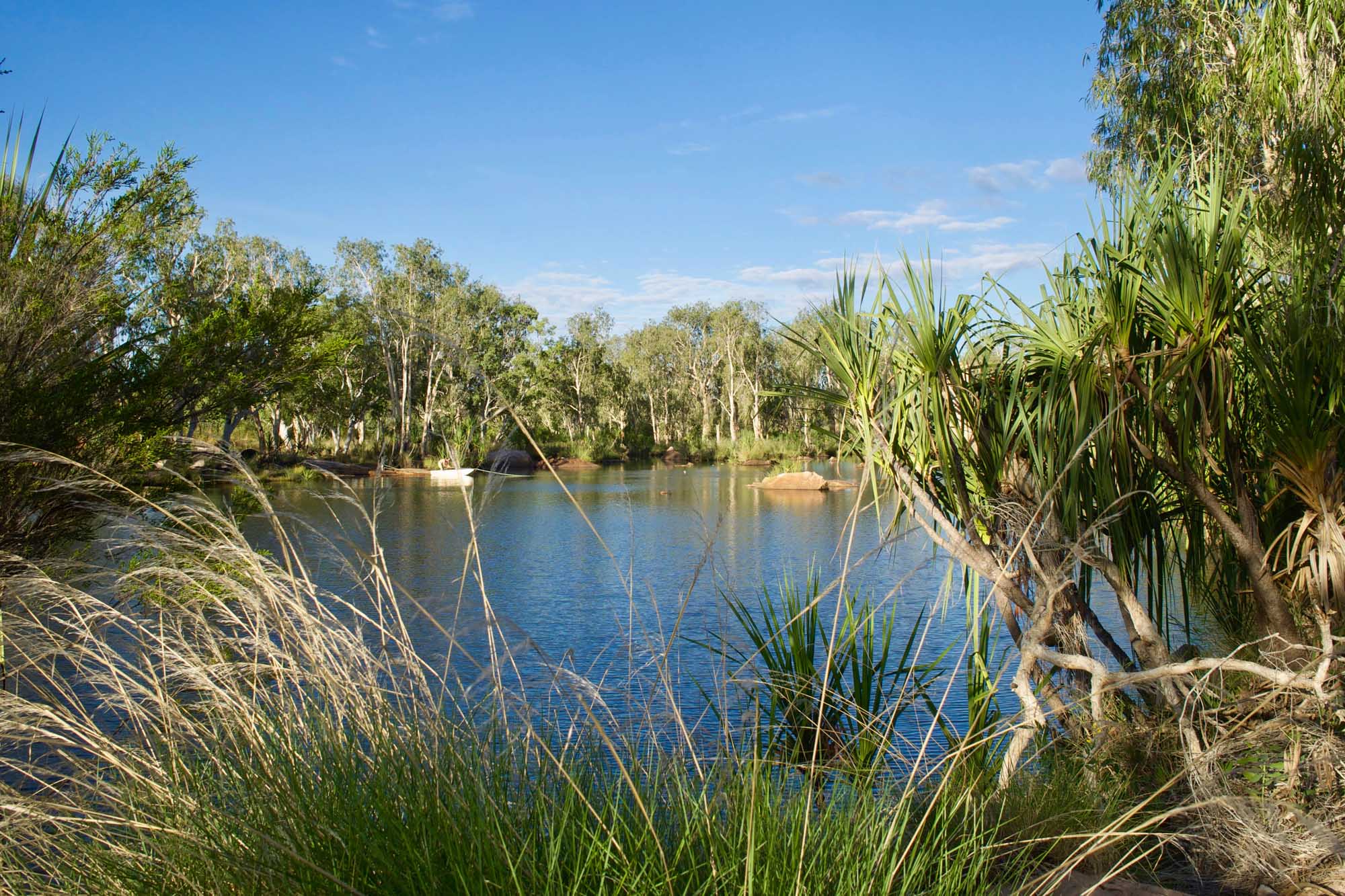 A serene waterhole along the Mount Barnett River surrounded by eucalyptus trees and native vegetation, featuring a pristine natural campsite in the Australian Kimberley region.