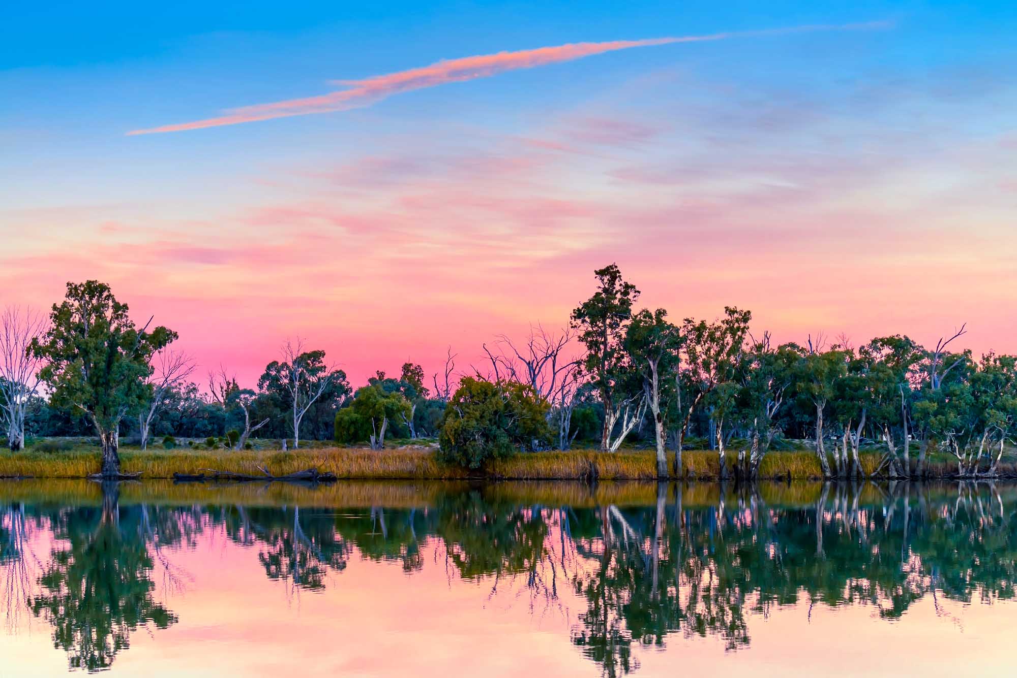 A serene landscape of the Murray River at golden hour, with gum trees lining the bank and their silhouettes perfectly mirrored in the still water. The sky displays warm pink and blue tones characteristic of an Australian sunset, creating a tranquil scene in the Riverland region.