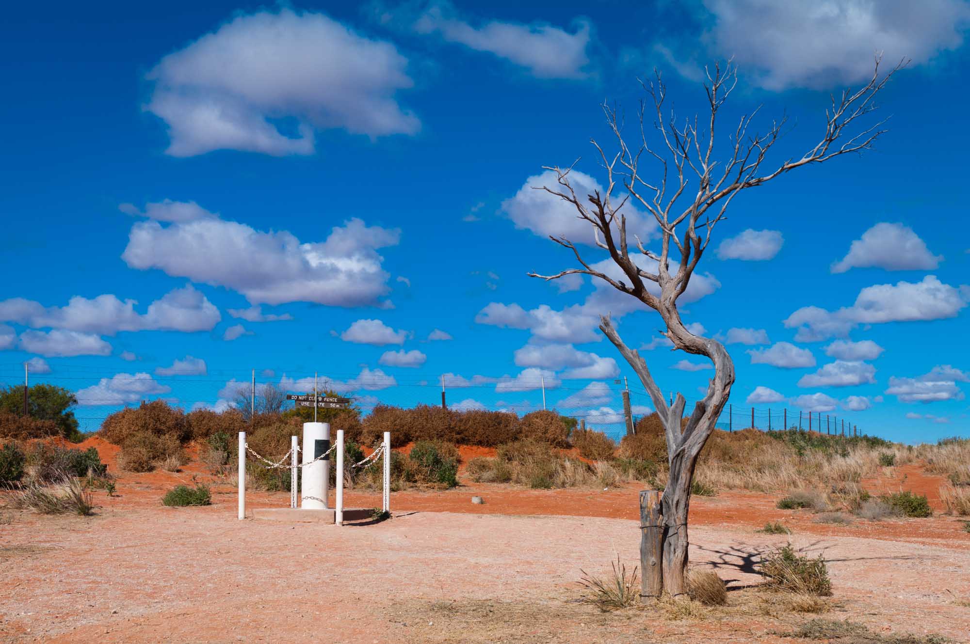 A striking outback scene at Cameron Corner where New South Wales, Queensland, and South Australia meet, featuring a gnarled dead tree in the foreground against red earth and sparse vegetation under a brilliant blue sky with white clouds.