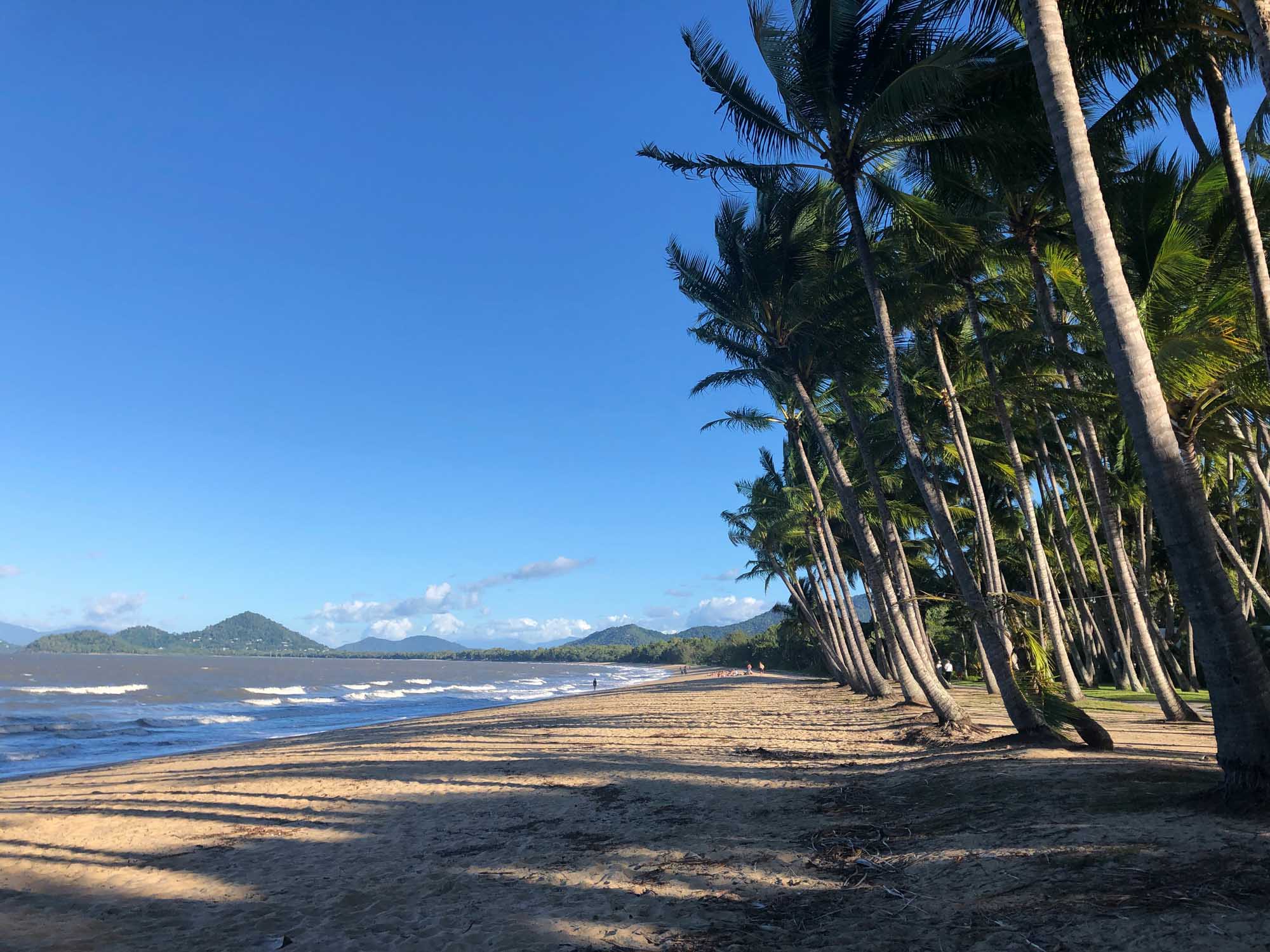 A pristine tropical beach in Cairns, Queensland, lined with towering palm trees creating a natural corridor along the golden sand. The calm turquoise waters and distant mountainous coastline under clear blue skies exemplify the natural beauty of Australia's Far North Queensland region.