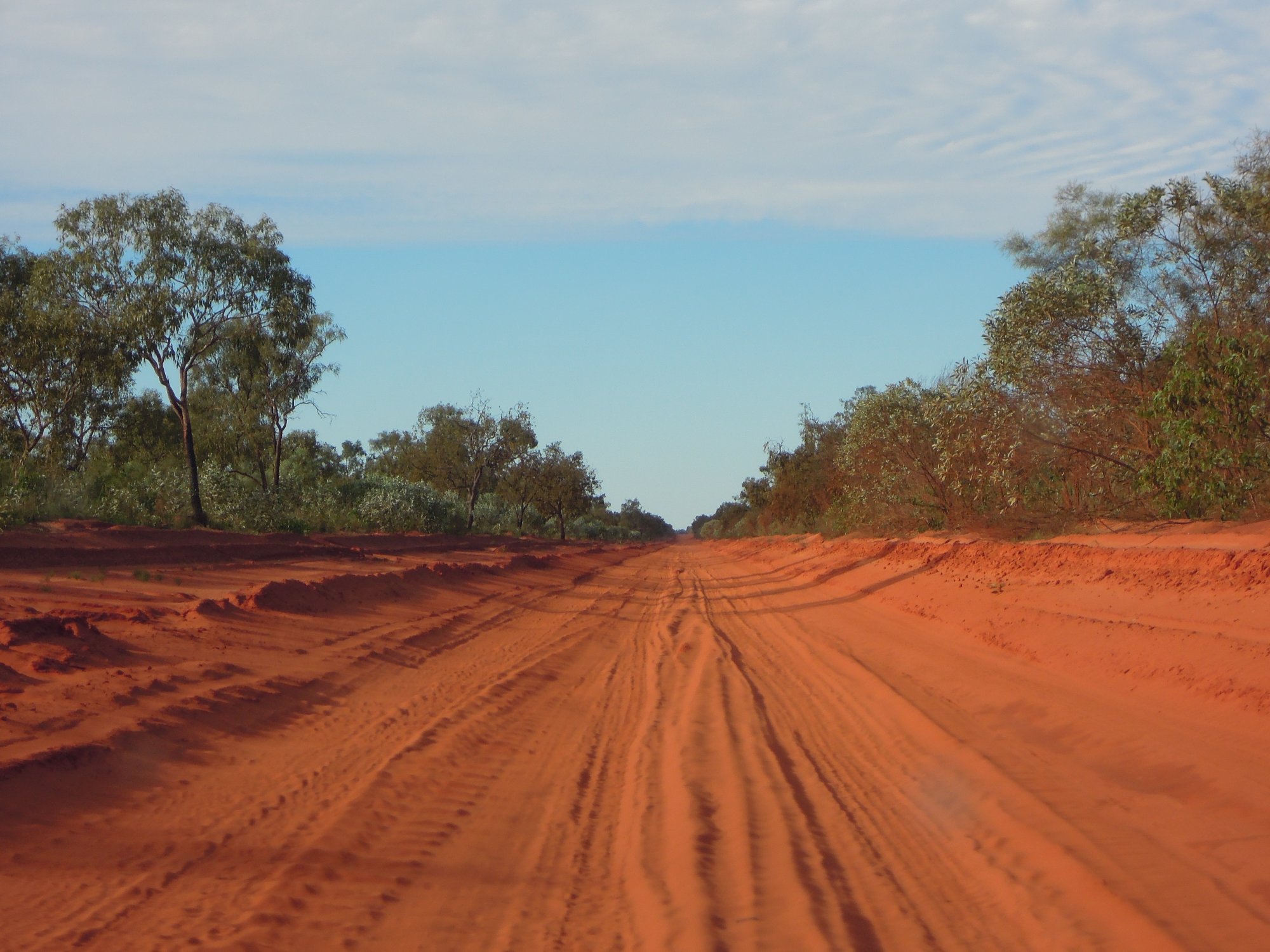 A remote, unpaved red dirt road stretches into the distance through sparse eucalyptus woodland in Australia's Outback region. The distinctive rust-colored earth and dry landscape with scattered trees are characteristic of inland Australian terrain.