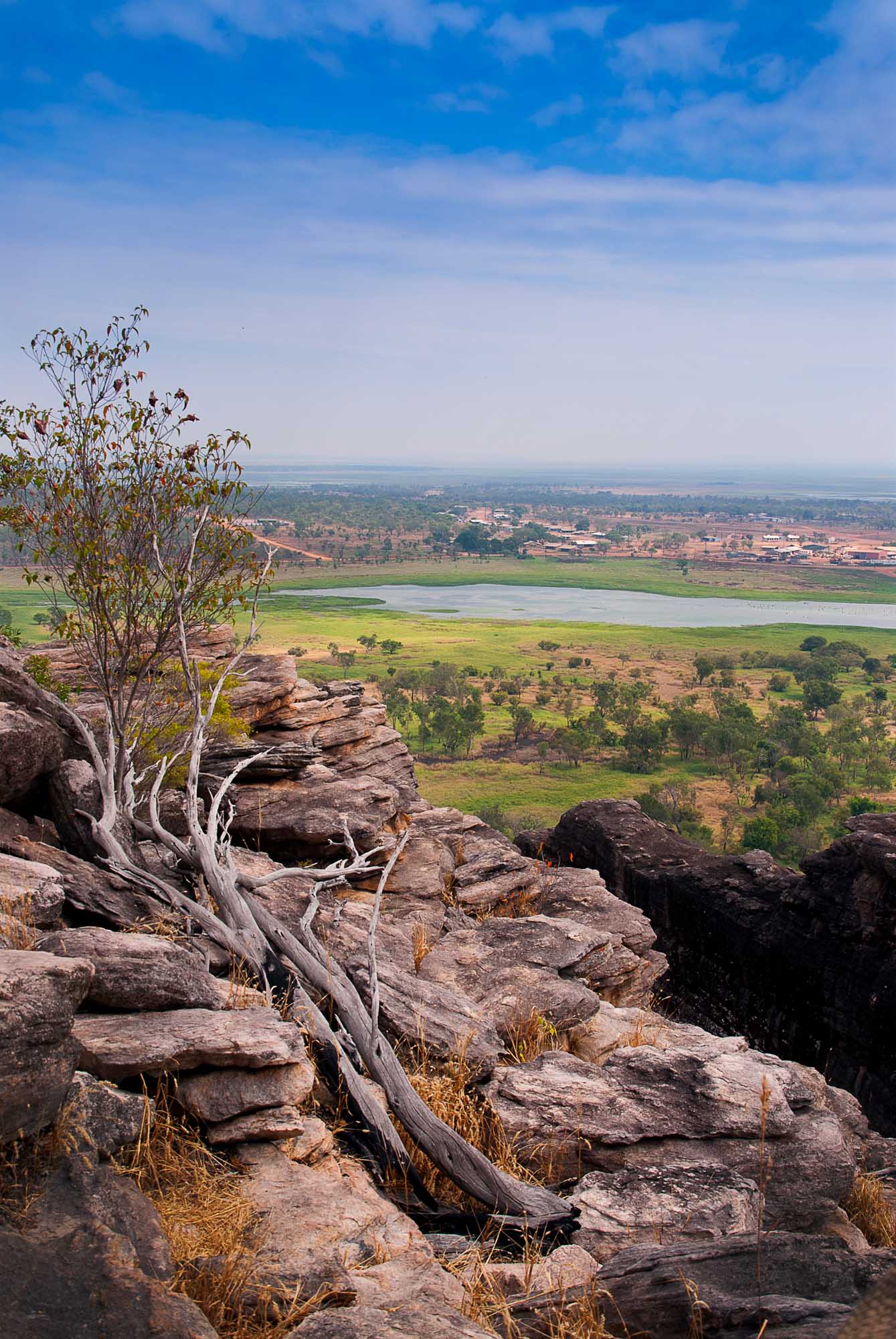 A dramatic elevated view from weathered rocky outcrops overlooking the expansive wetlands and agricultural landscape of Arnhem Land in Australia's Northern Territory. A gnarled eucalyptus tree clings to the rocky outcrop in the foreground, with verdant grasslands, scattered vegetation, and a reflective water body visible across the vast, hazy plains below under a partly cloudy blue sky.