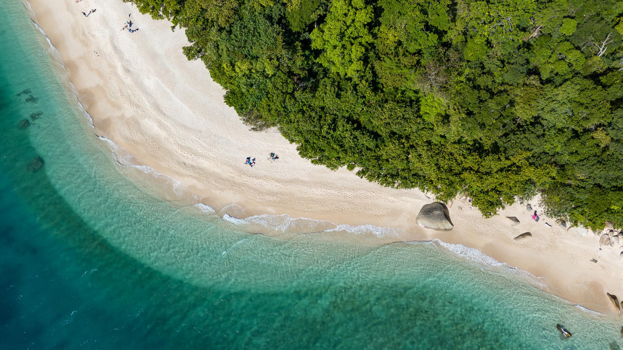 Tropical Beach with Turquoise Waters and Dense Jungle An aerial view of a pristine white sand beach bordered by crystal-clear turquoise waters and dense
