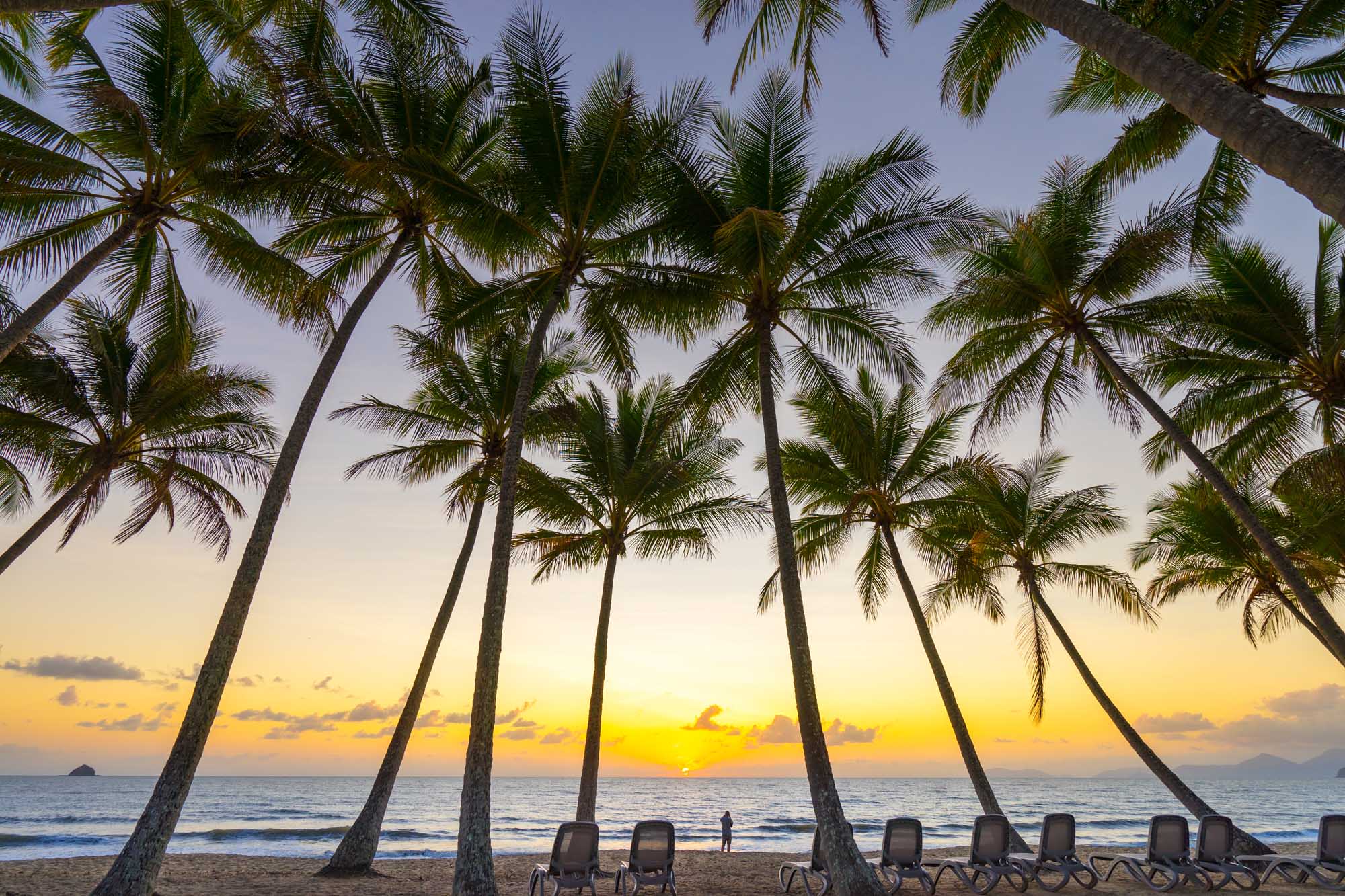 A stunning tropical sunset scene at Palm Cove, featuring towering coconut palm trees silhouetted against a golden and purple sky, with beach loungers arranged on the sand and a solitary figure wading in the calm waters below.