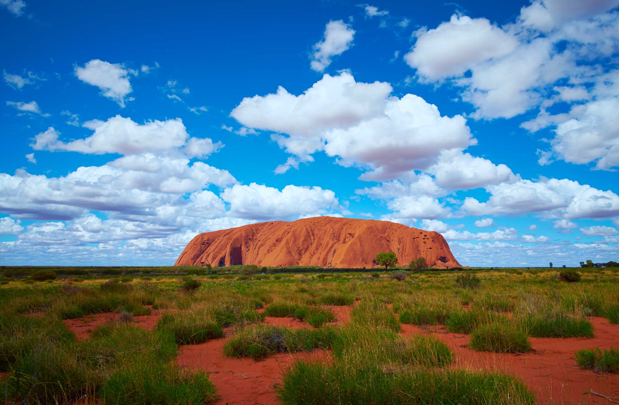 Uluru (Ayers Rock), the iconic massive red sandstone monolith of the Australian Outback, dominates the landscape under a brilliant blue sky dotted with white cumulus clouds. The distinctive geological formation rises majestically from the surrounding arid plains with sparse vegetation and distinctive red earth.