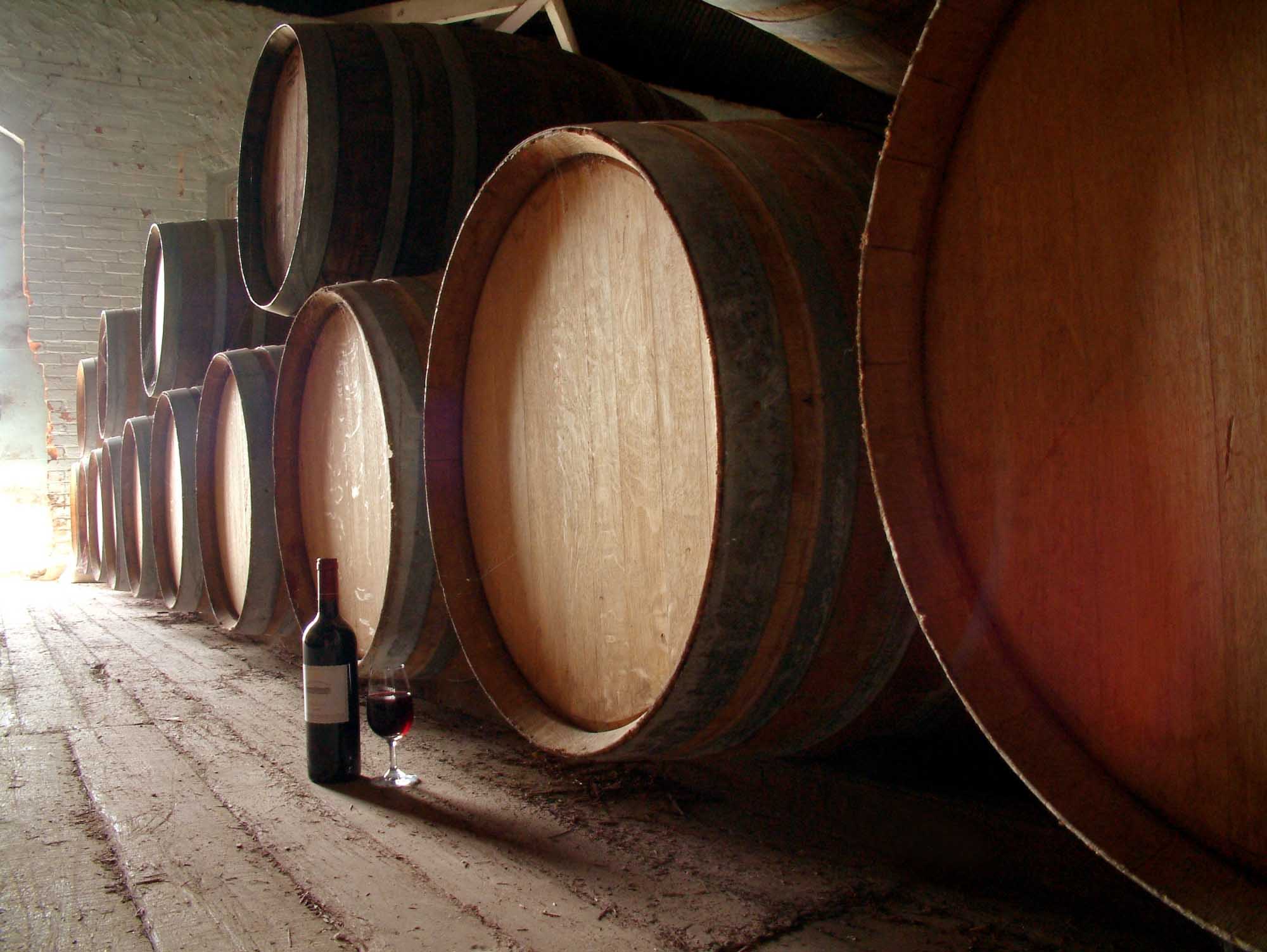 A bottle of red wine and a filled glass rest on the floor of a traditional wine cellar, positioned in front of a row of large wooden barrels used for aging wine. Sunlight streams through an opening, illuminating the dusty cellar floor and the cooper's barrels arranged in perspective down the corridor.