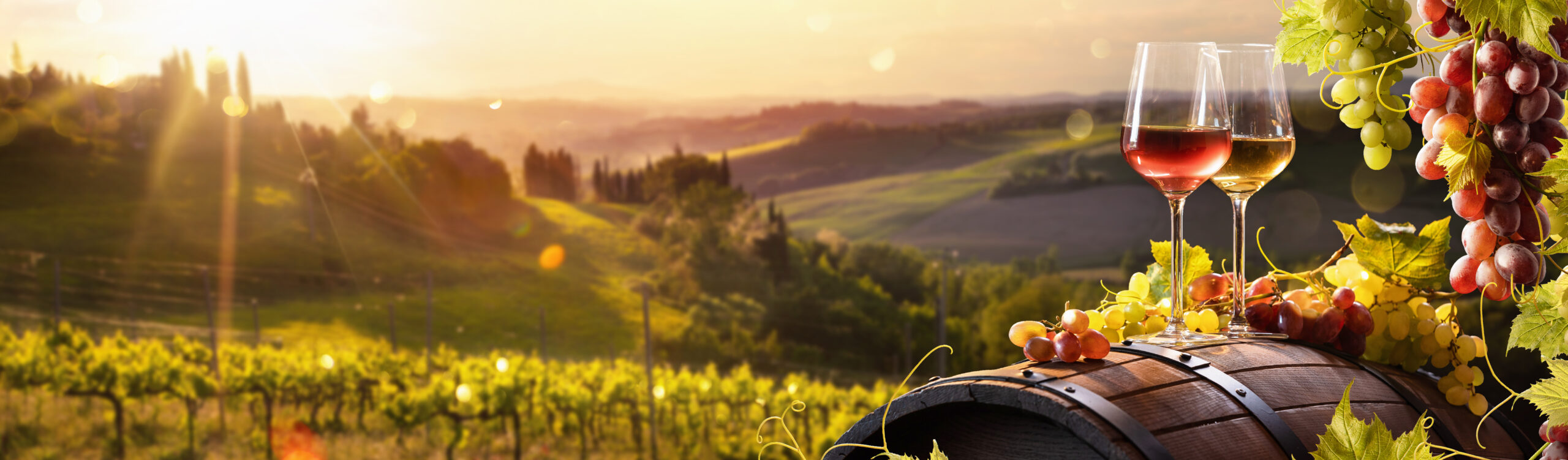 An idyllic vineyard scene featuring two glasses of red and white wine on a wooden barrel overlooking rolling hills dotted with cypress trees at golden hour. Fresh grapes hang overhead, creating a quintessential European wine country atmosphere with warm sunlight illuminating the landscape.